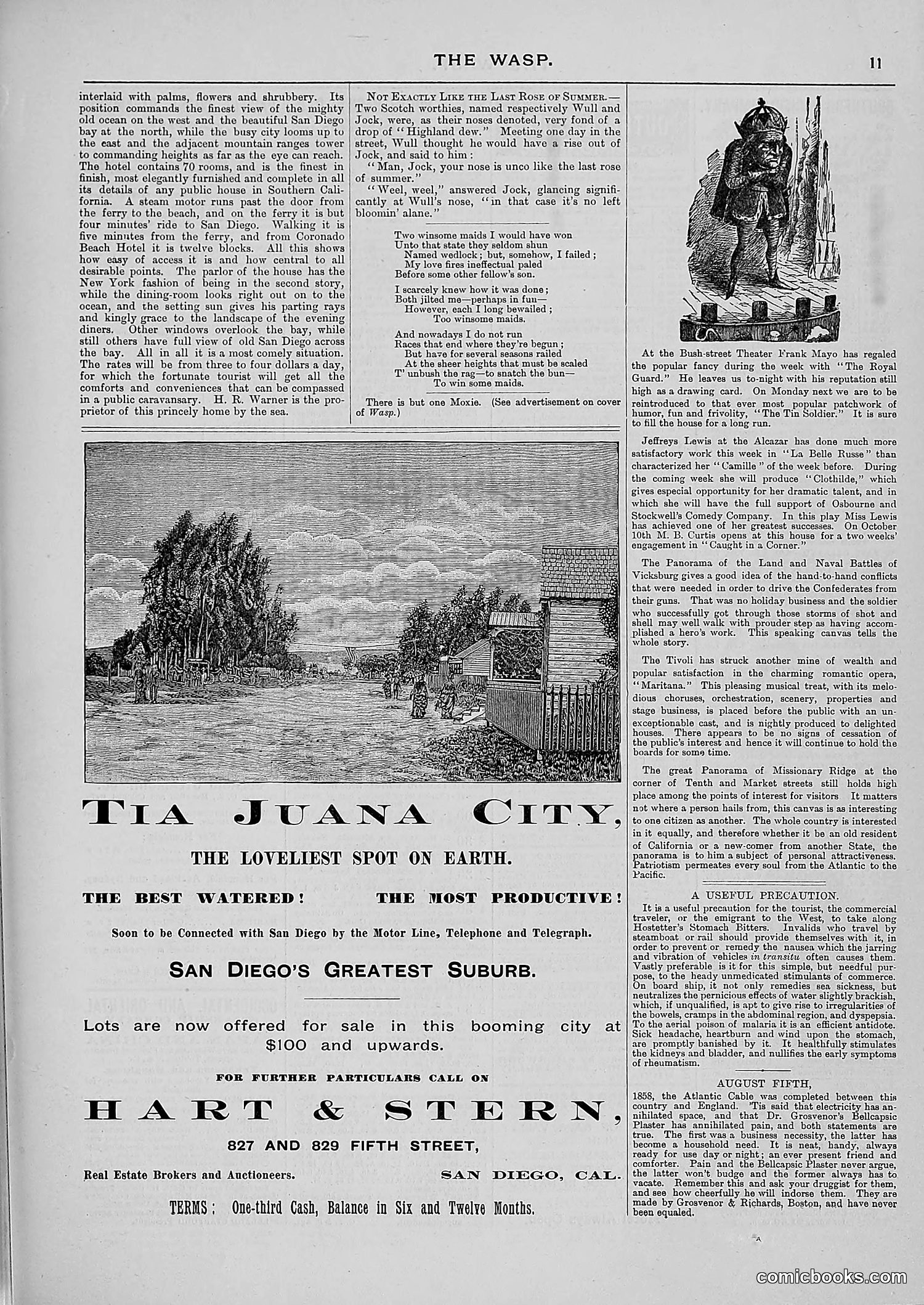 The Wasp — 1887 — page 244 of 512