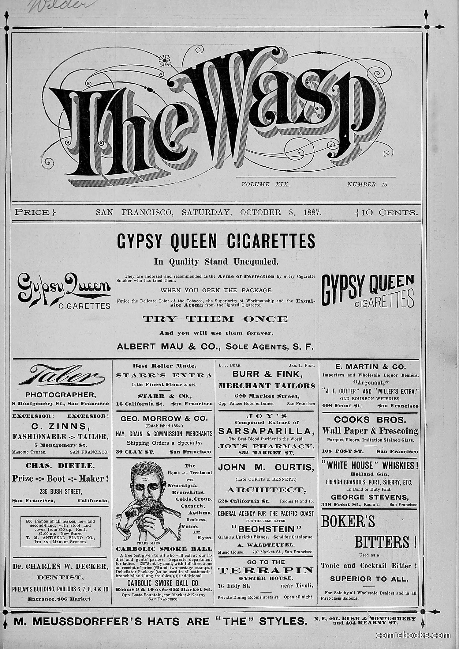 The Wasp — 1887 — page 252 of 512