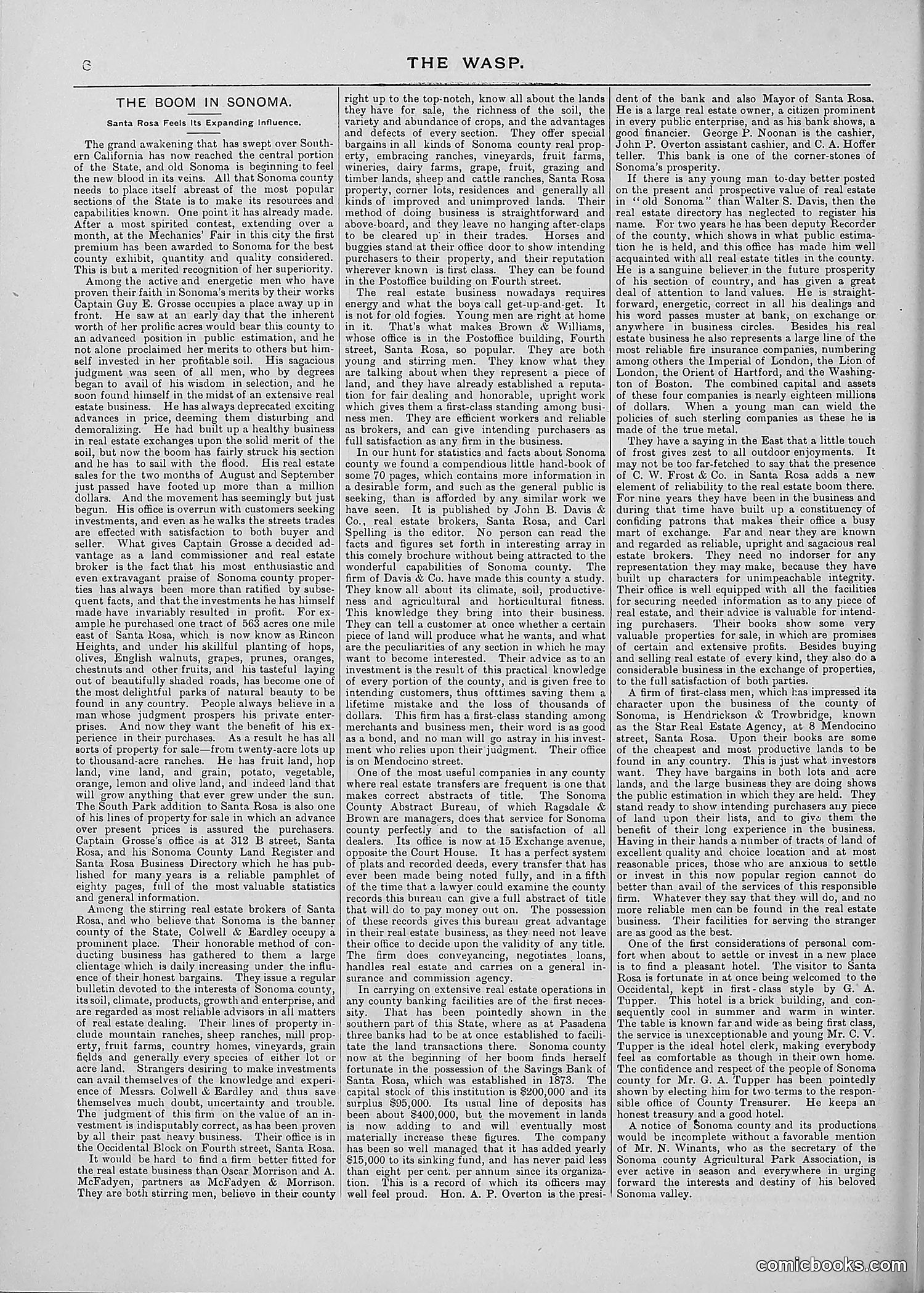 The Wasp — 1887 — page 259 of 512
