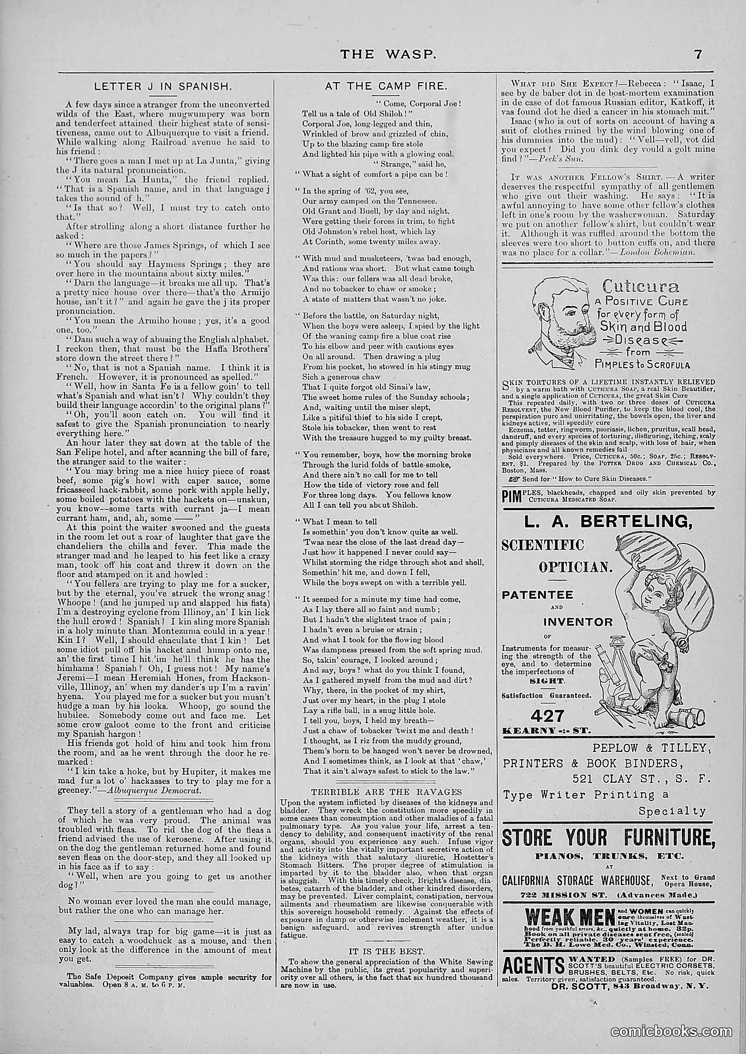 The Wasp — 1887 — page 260 of 512