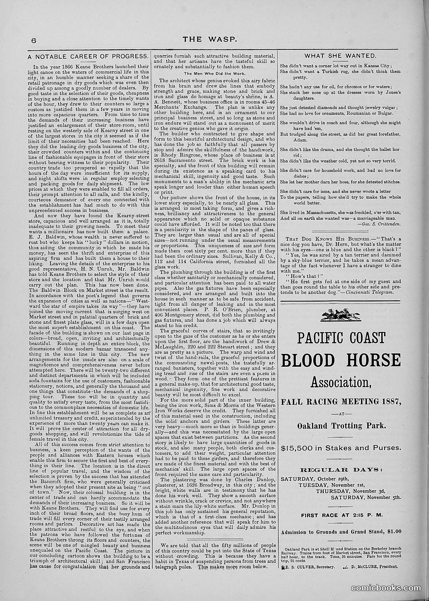 The Wasp — 1887 — page 295 of 512