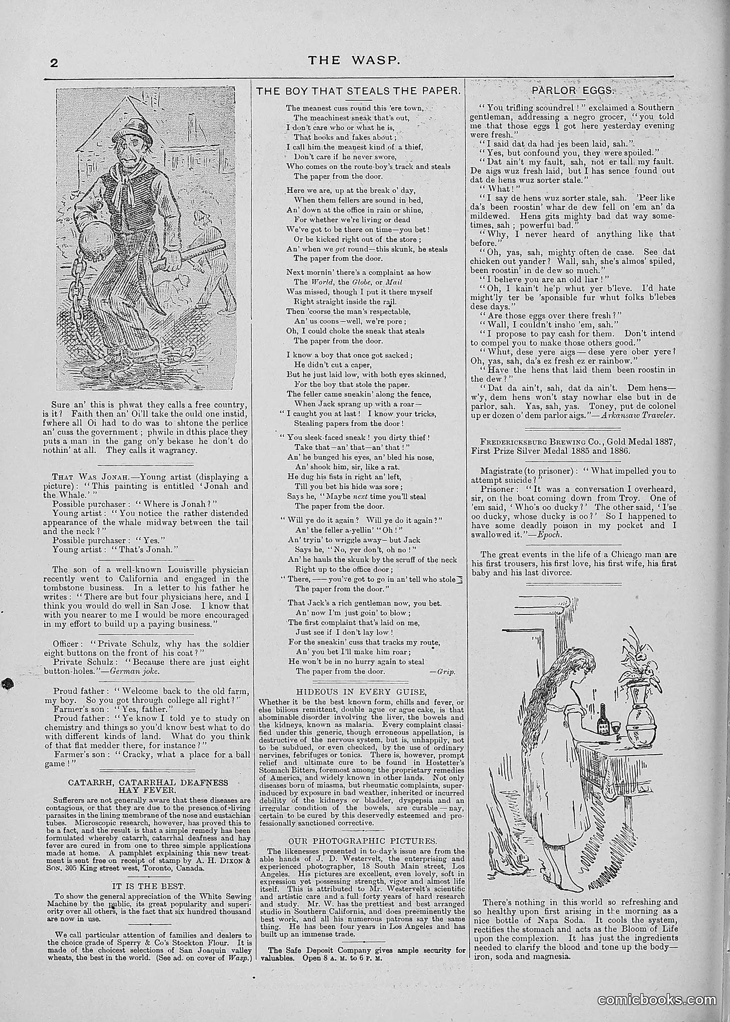 The Wasp — 1887 — page 307 of 512
