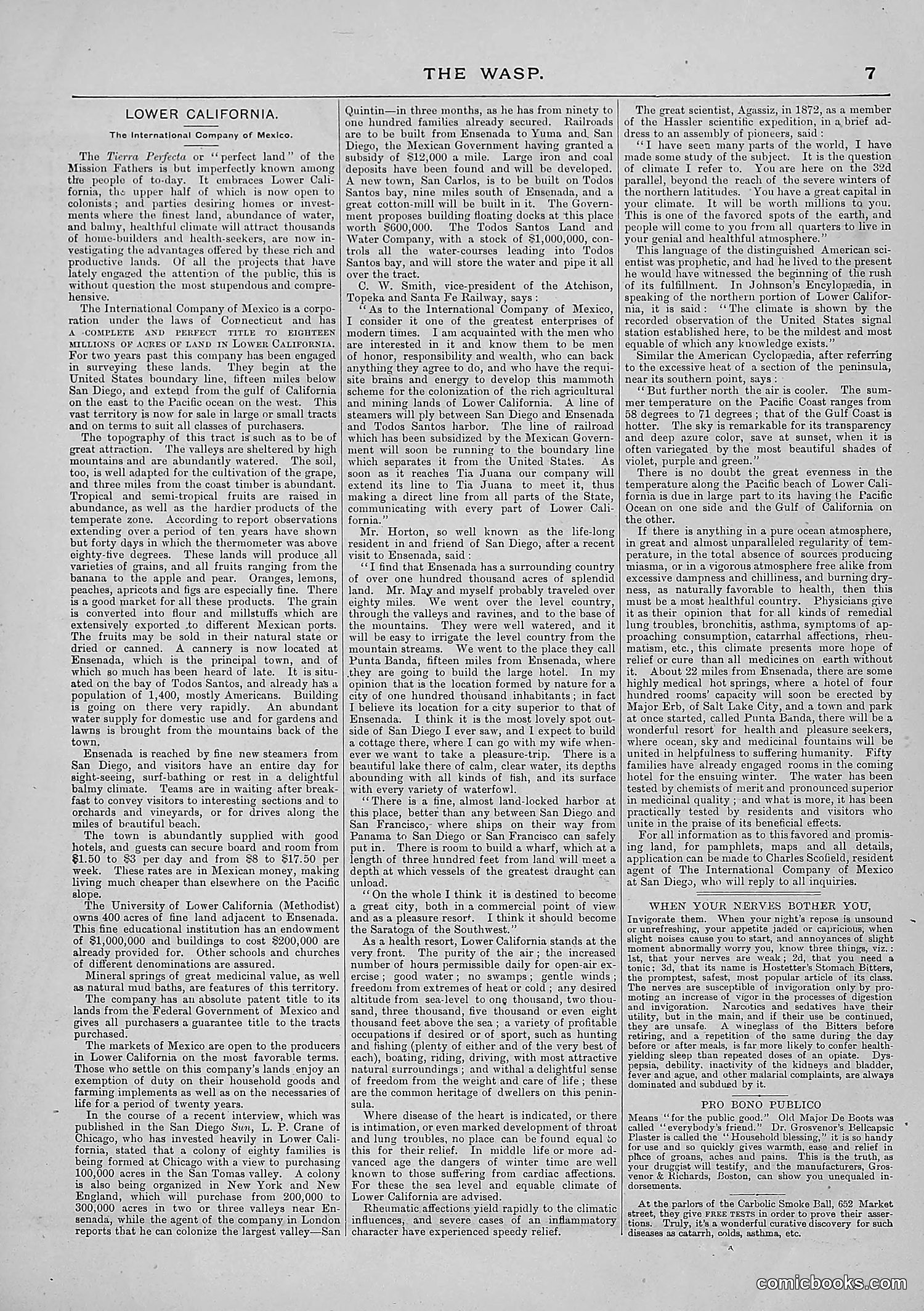 The Wasp — 1887 — page 344 of 512