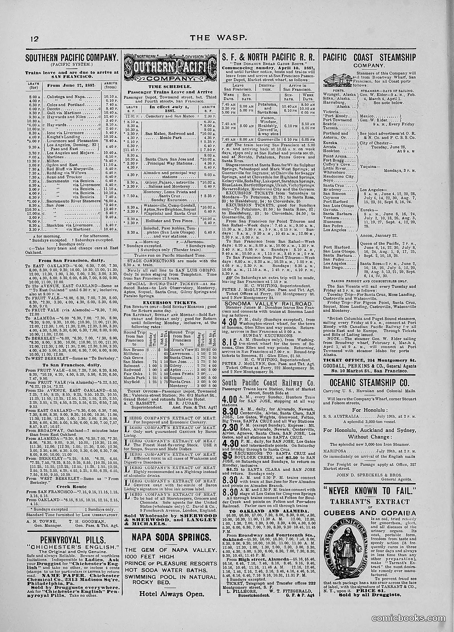The Wasp — 1887 — page 37 of 512