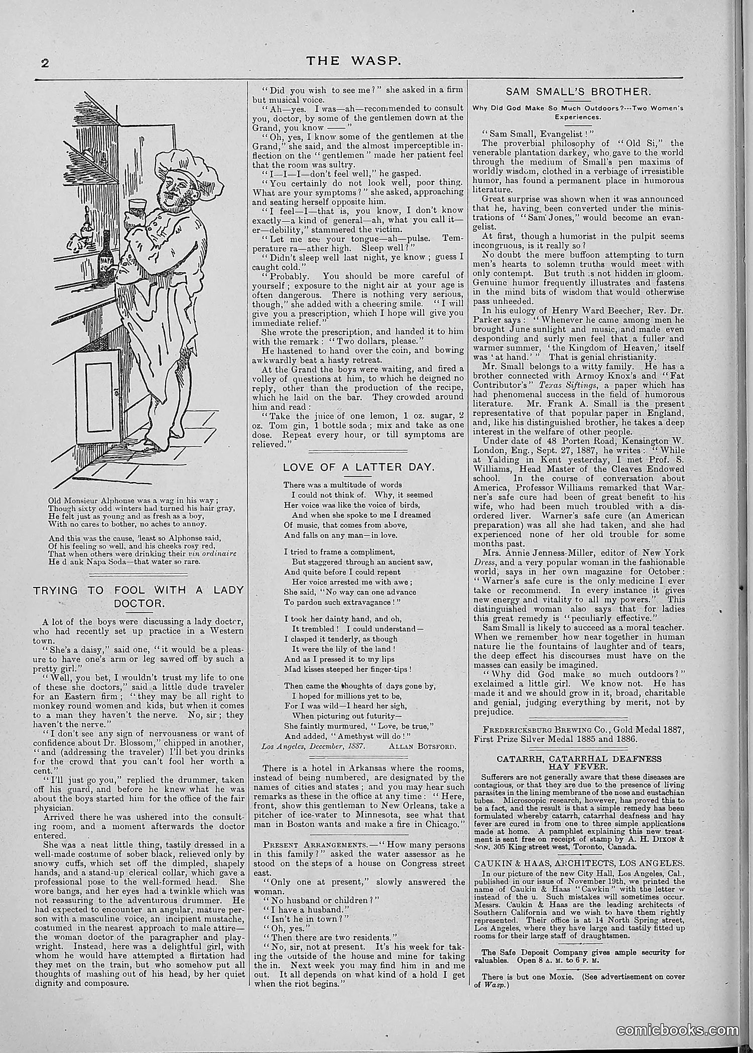 The Wasp — 1887 — page 409 of 512