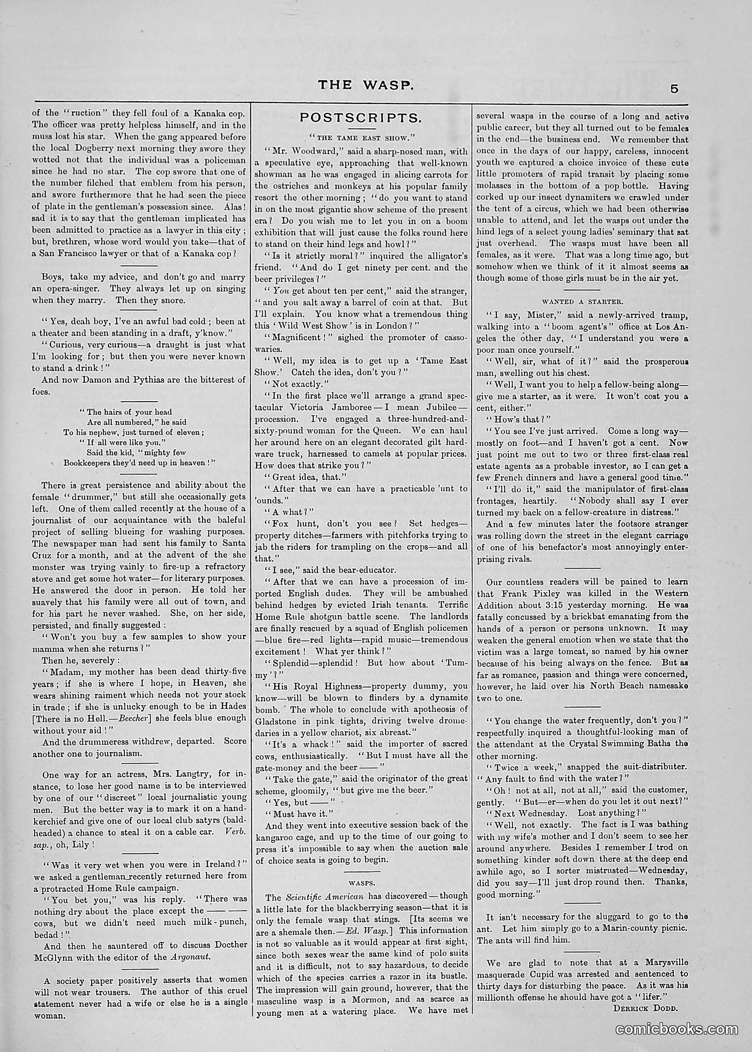 The Wasp — 1887 — page 50 of 512