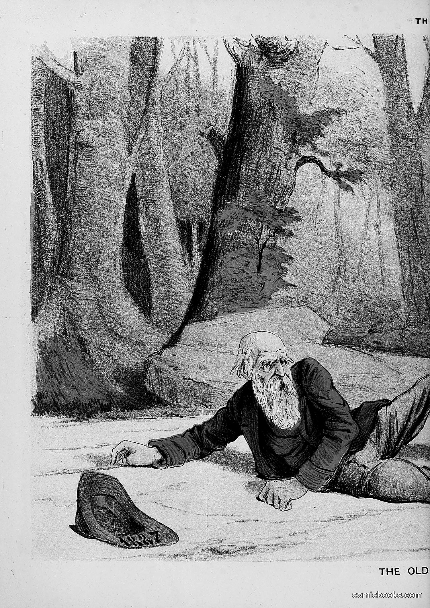 The Wasp — 1887 — page 497 of 512
