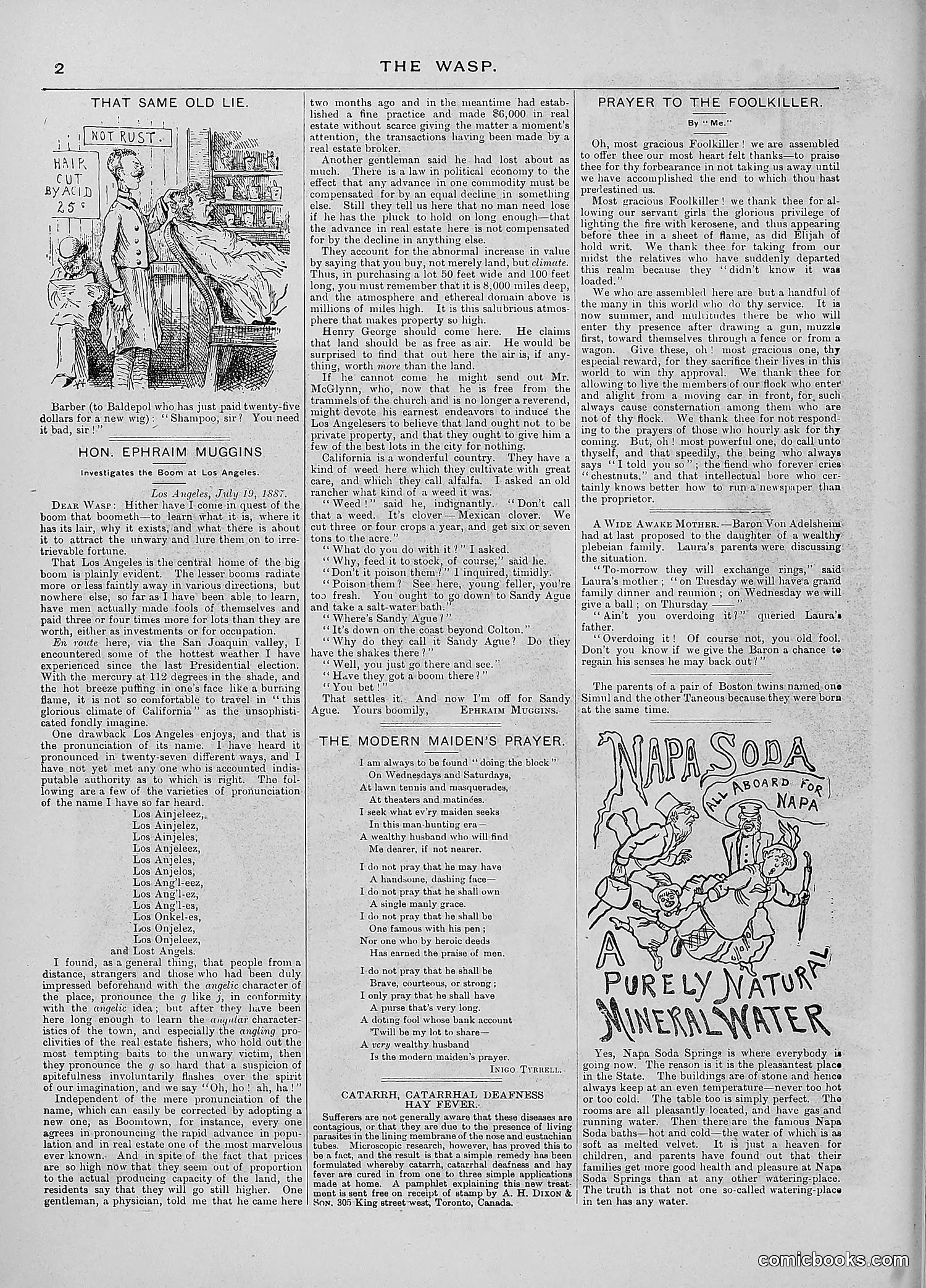 The Wasp — 1887 — page 65 of 512