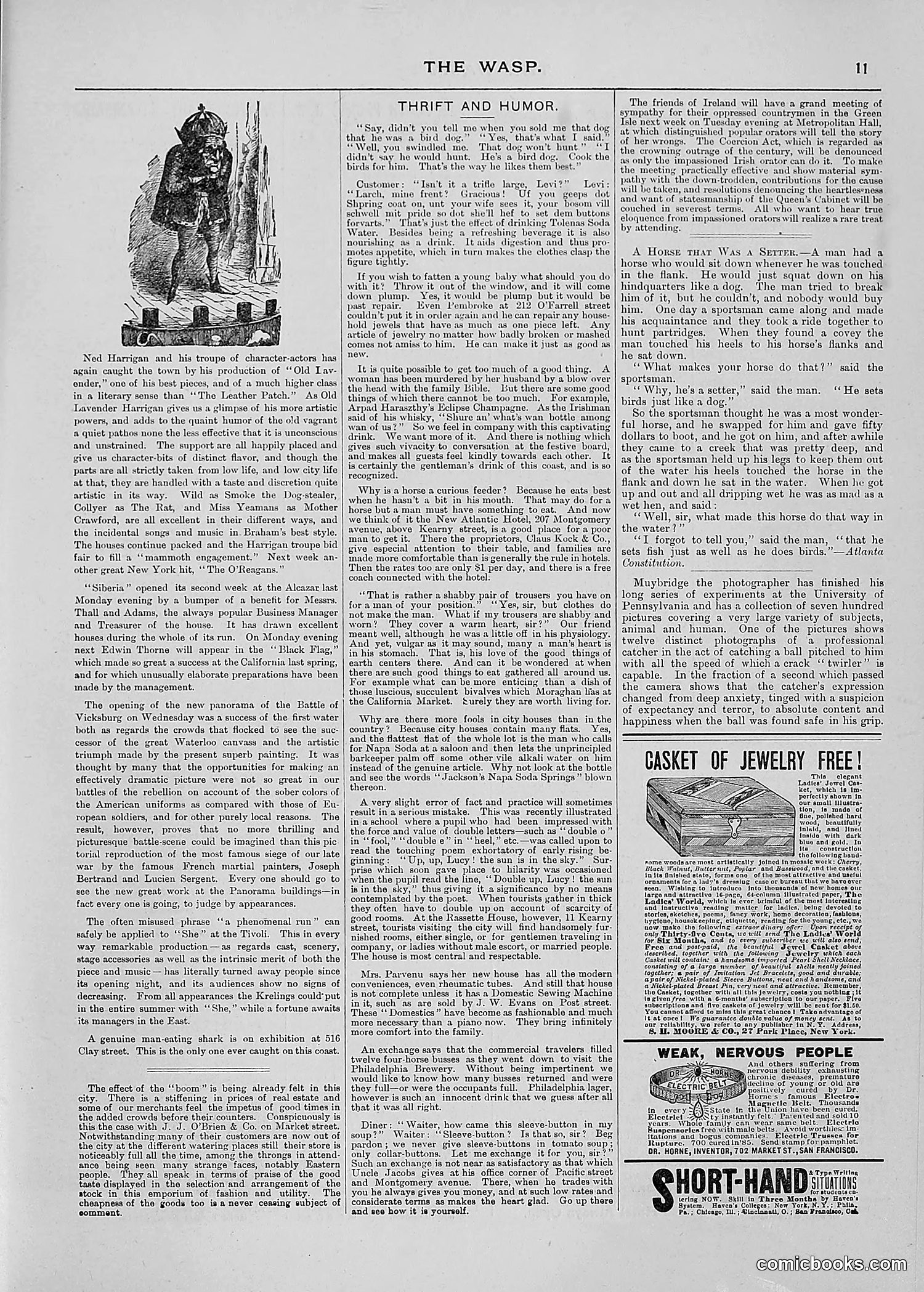 The Wasp — 1887 — page 74 of 512