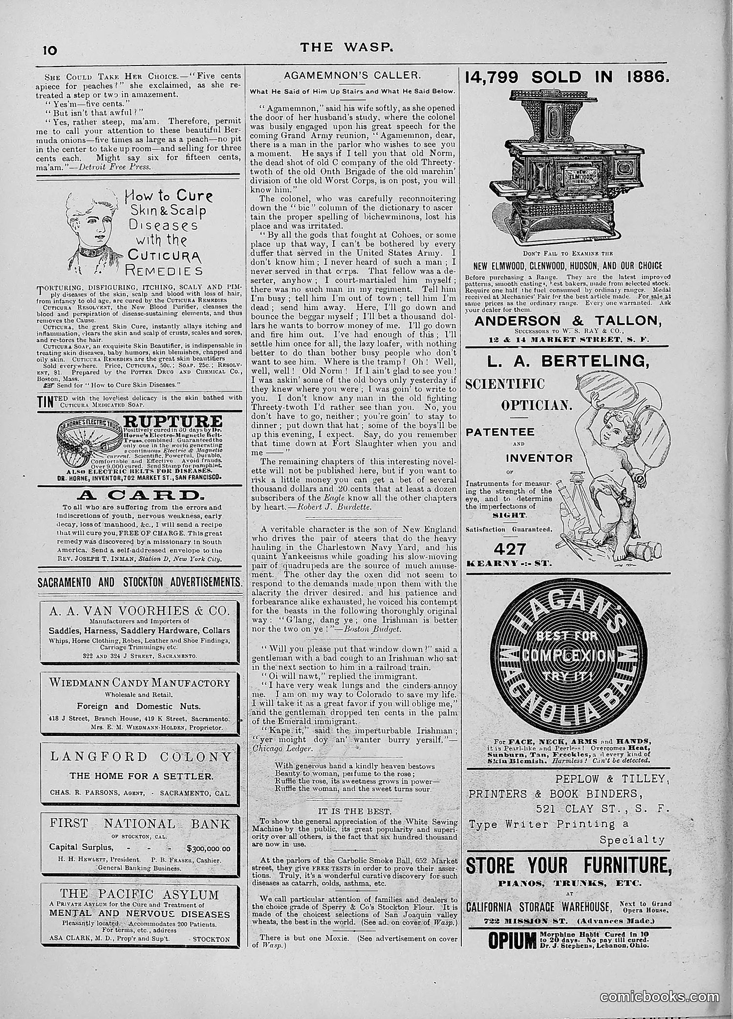 The Wasp — 1887 — page 93 of 512