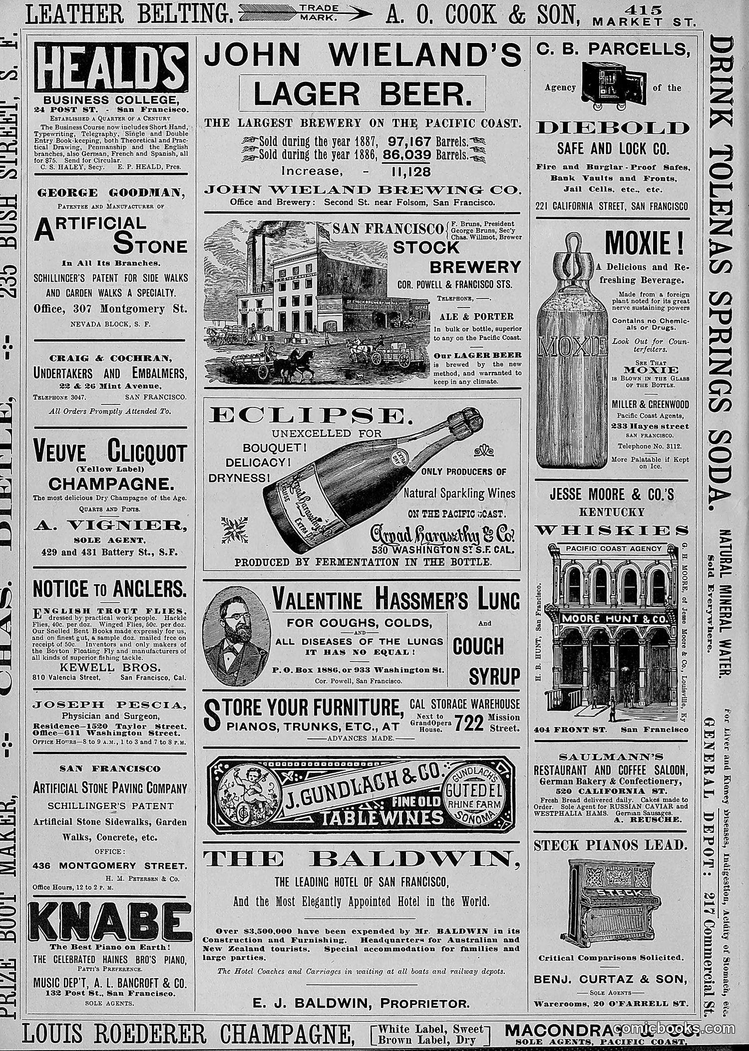 The Wasp — 1888 — page 9 of 552