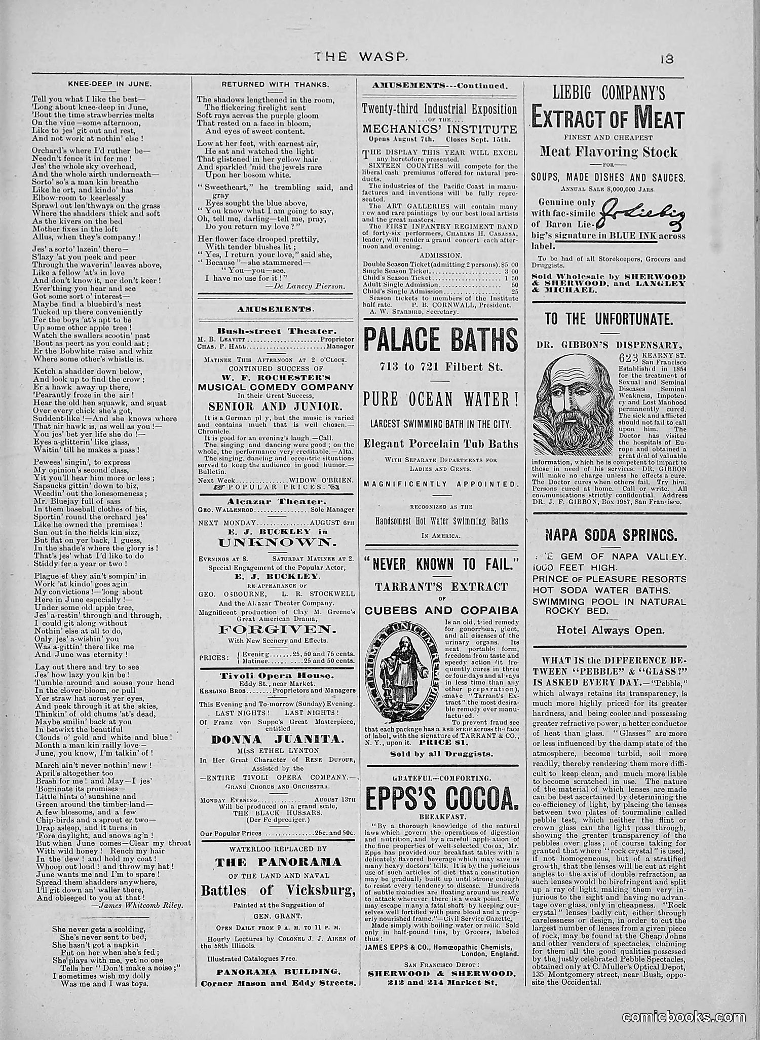 The Wasp — 1888 — page 102 of 552