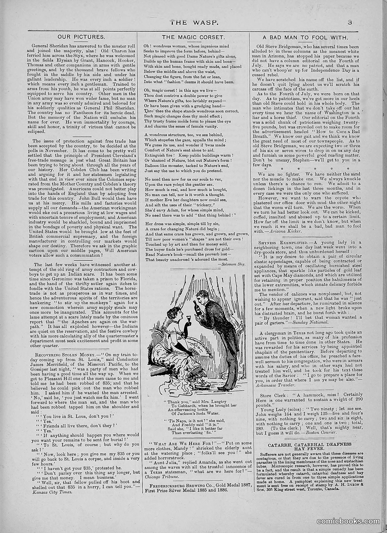The Wasp — 1888 — page 112 of 552