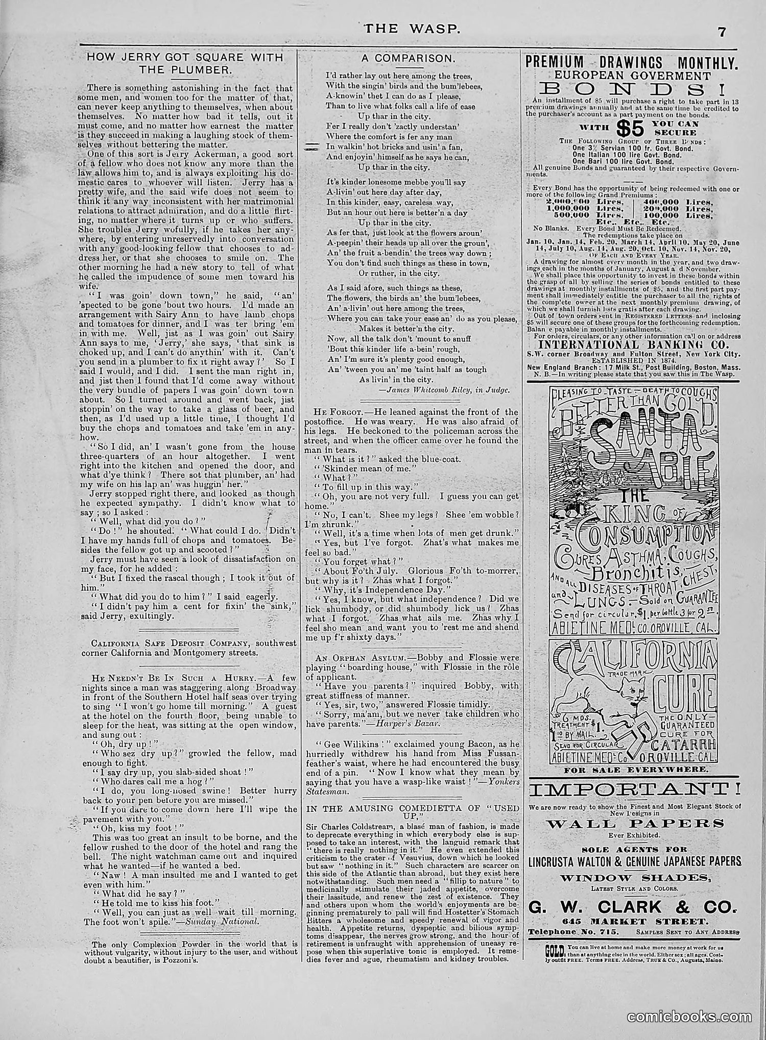 The Wasp — 1888 — page 116 of 552