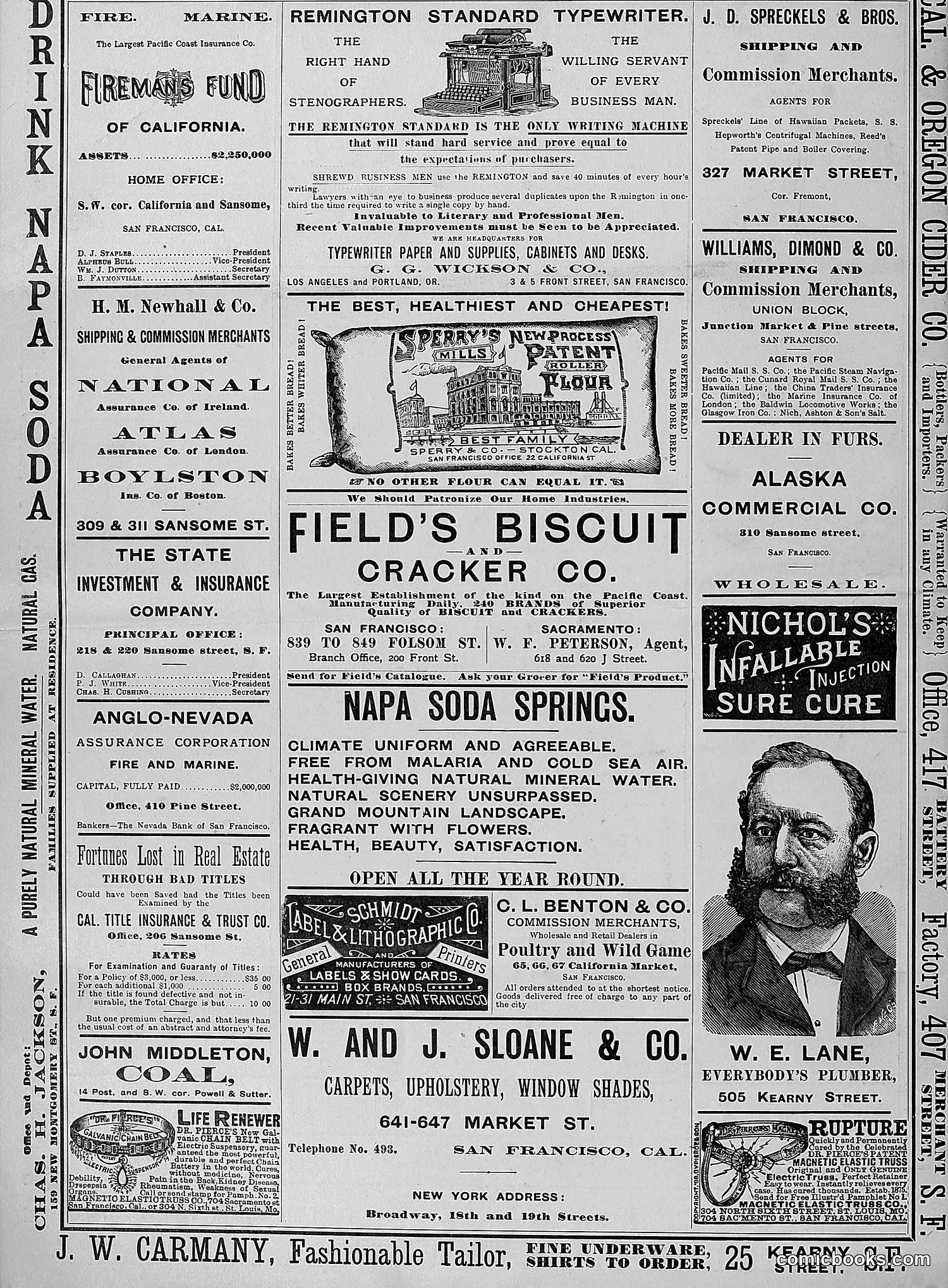 The Wasp — 1888 — page 127 of 552