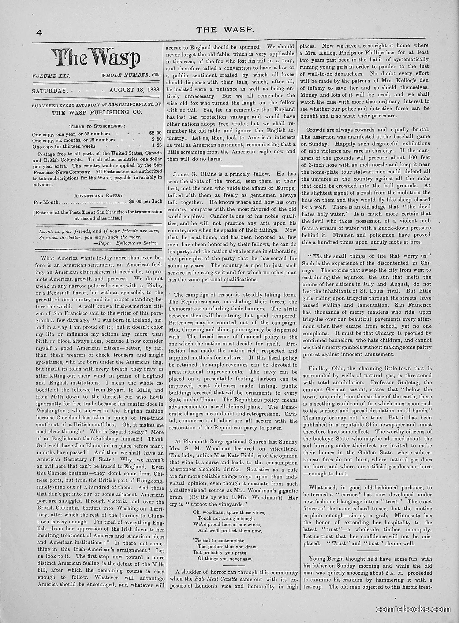 The Wasp — 1888 — page 133 of 552