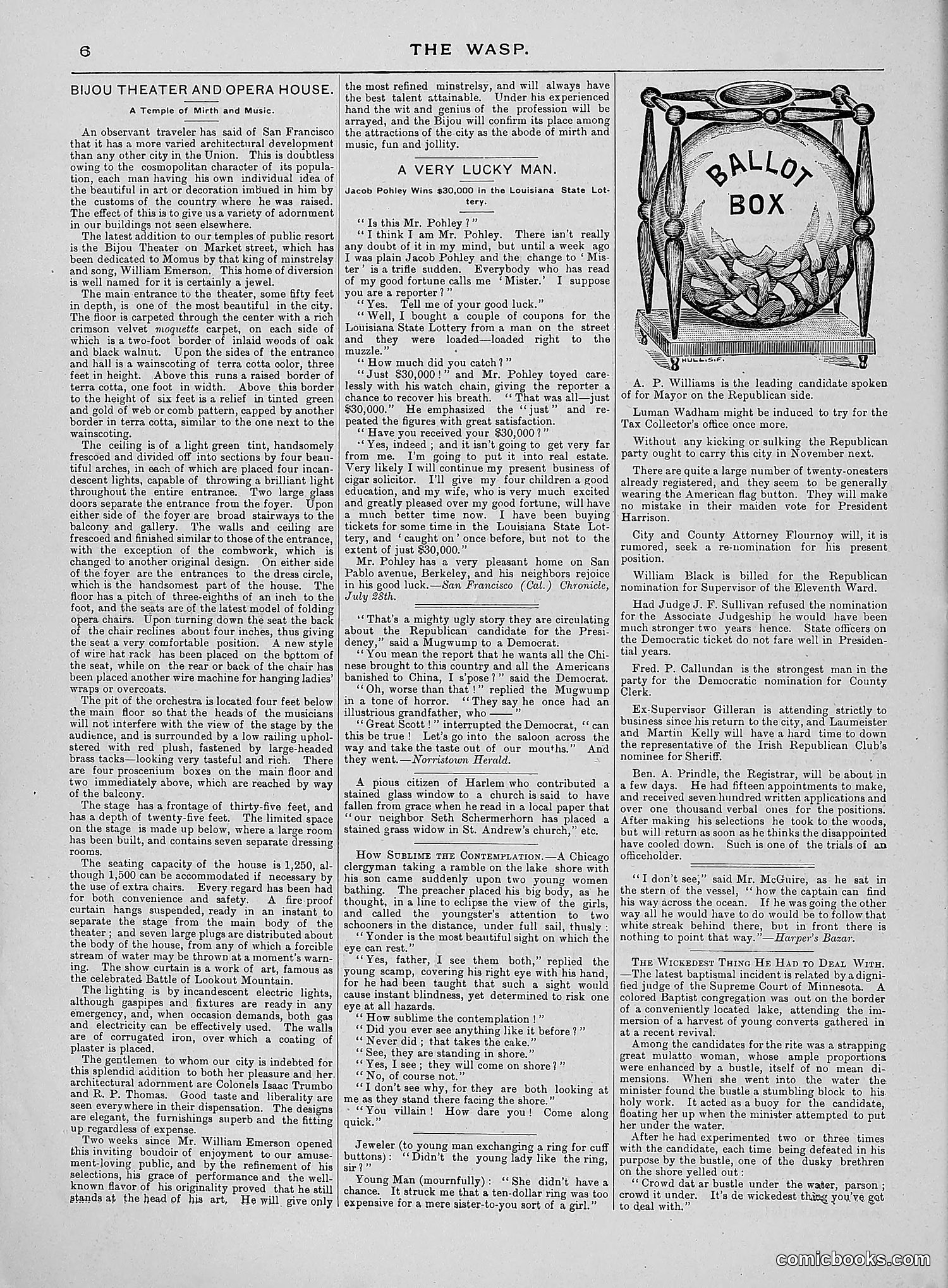 The Wasp — 1888 — page 135 of 552