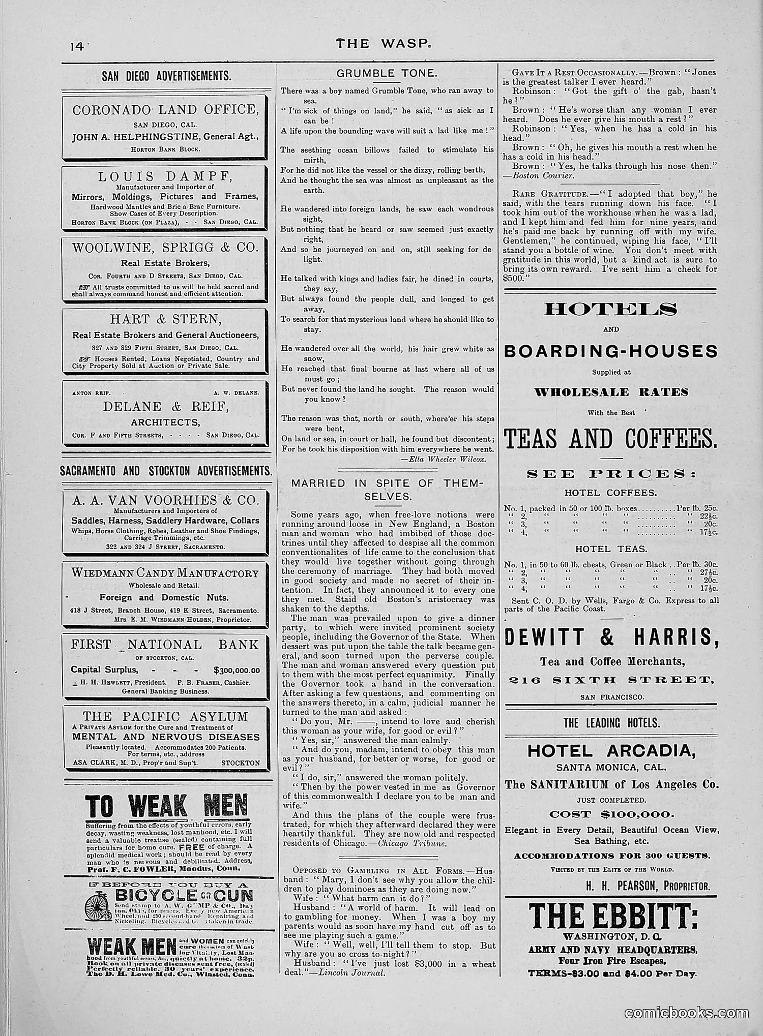 The Wasp — 1888 — page 143 of 552