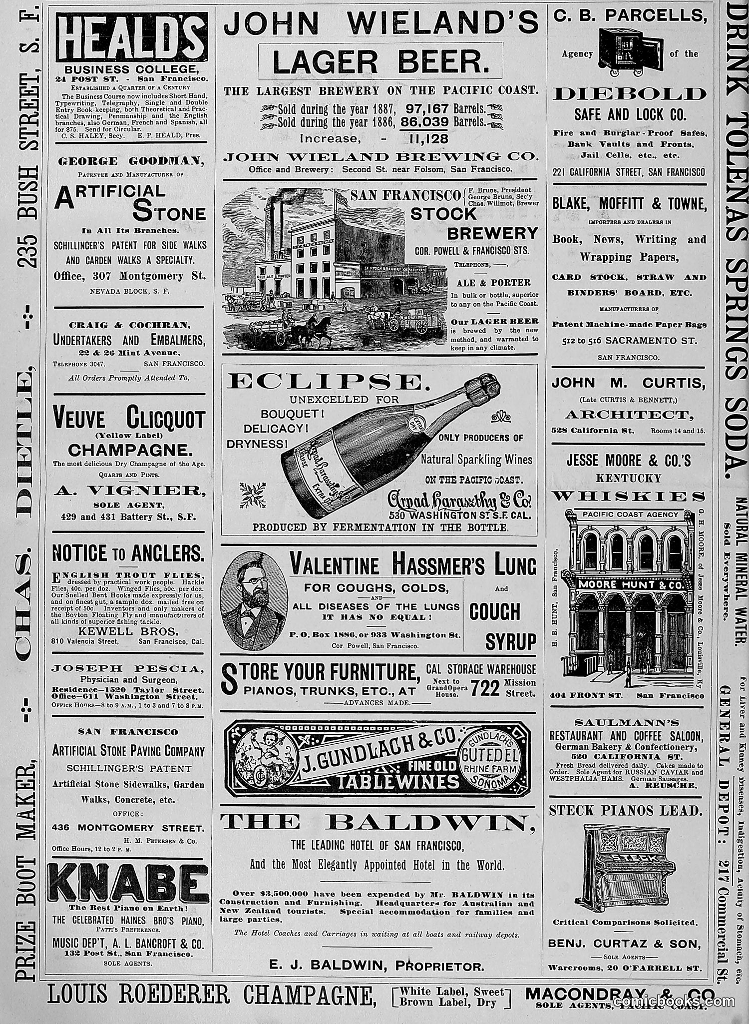 The Wasp — 1888 — page 149 of 552