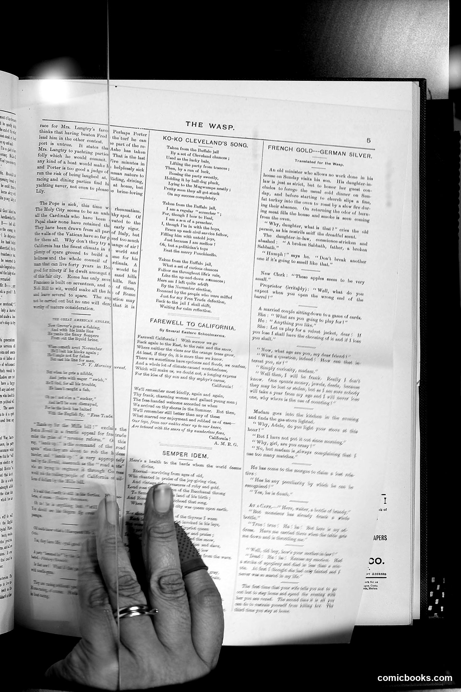 The Wasp — 1888 — page 156 of 552
