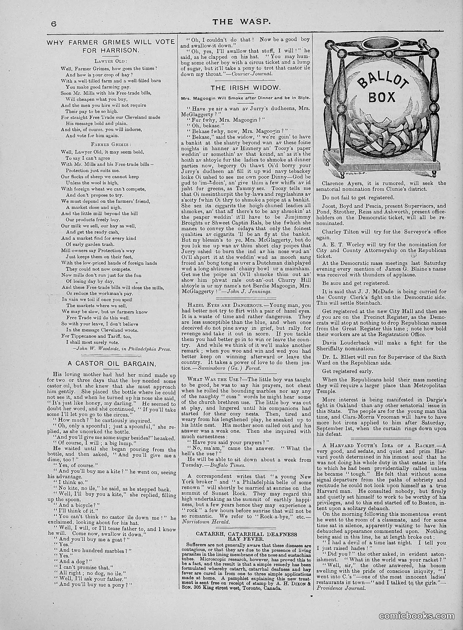 The Wasp — 1888 — page 177 of 552