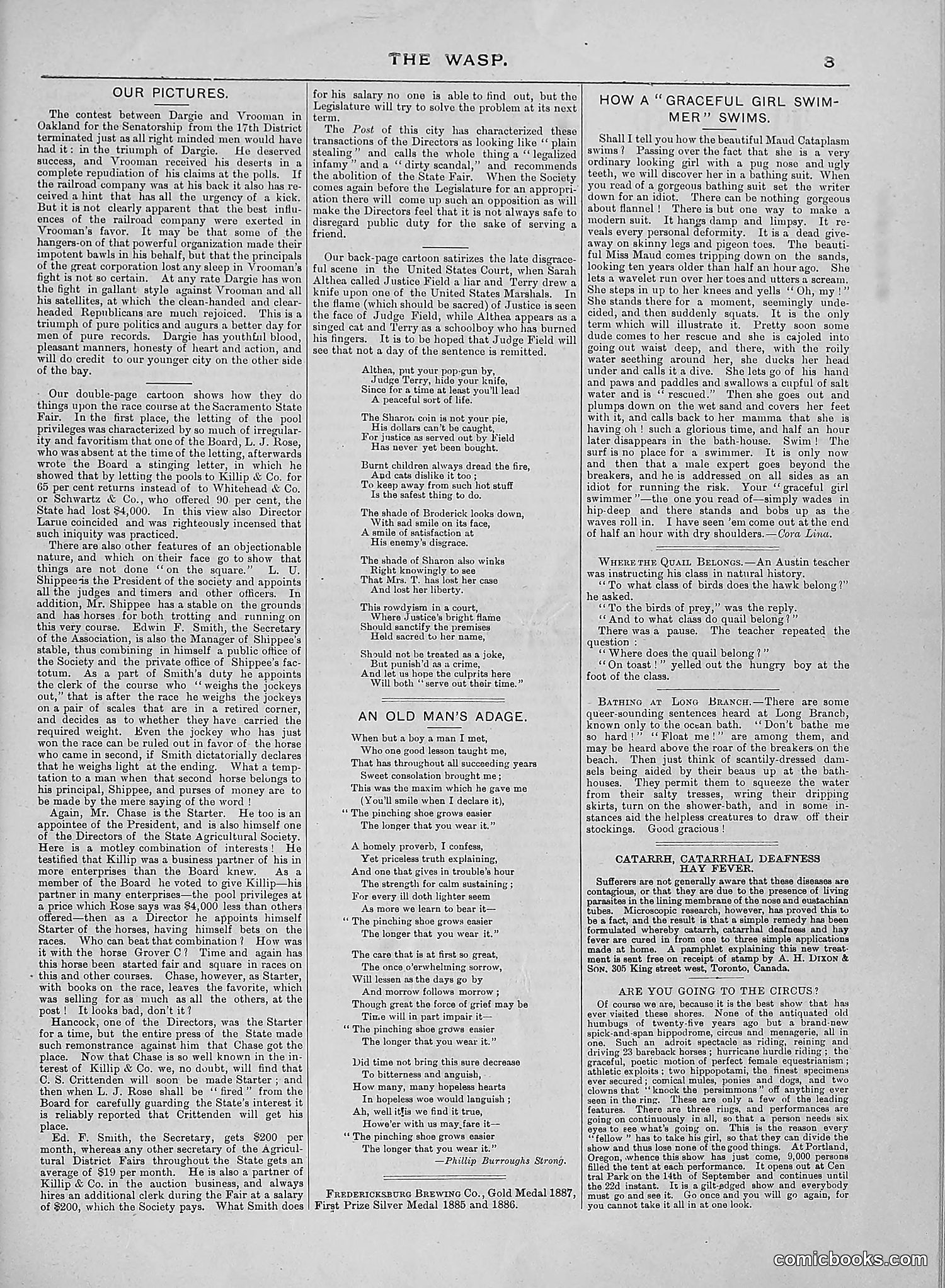 The Wasp — 1888 — page 194 of 552