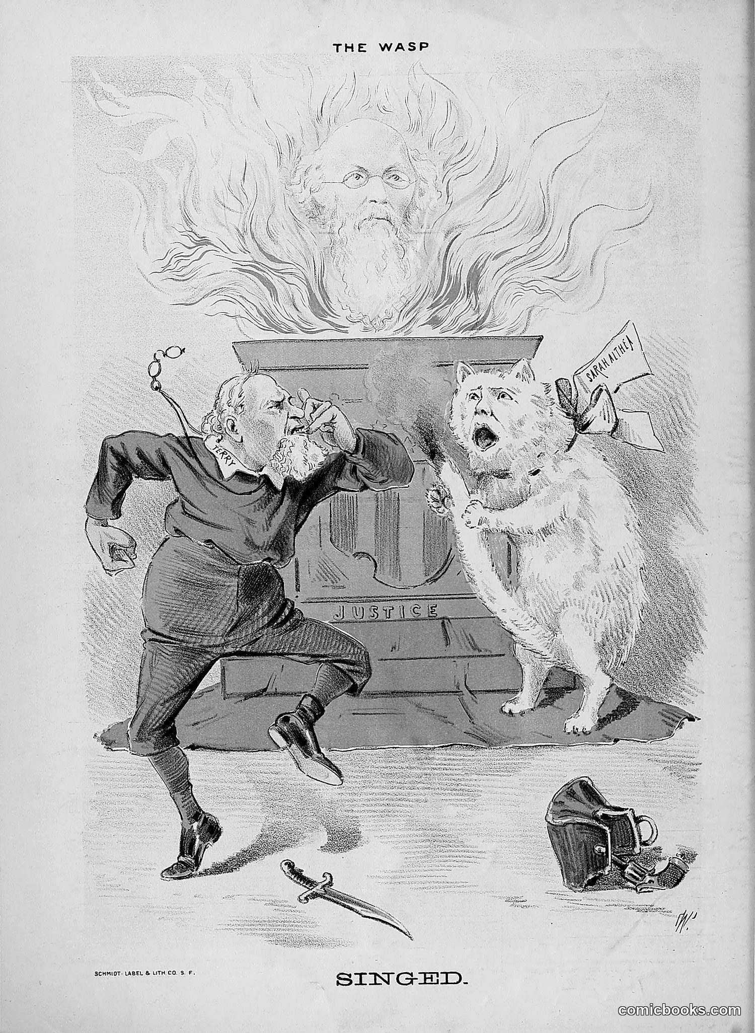 The Wasp — 1888 — page 207 of 552