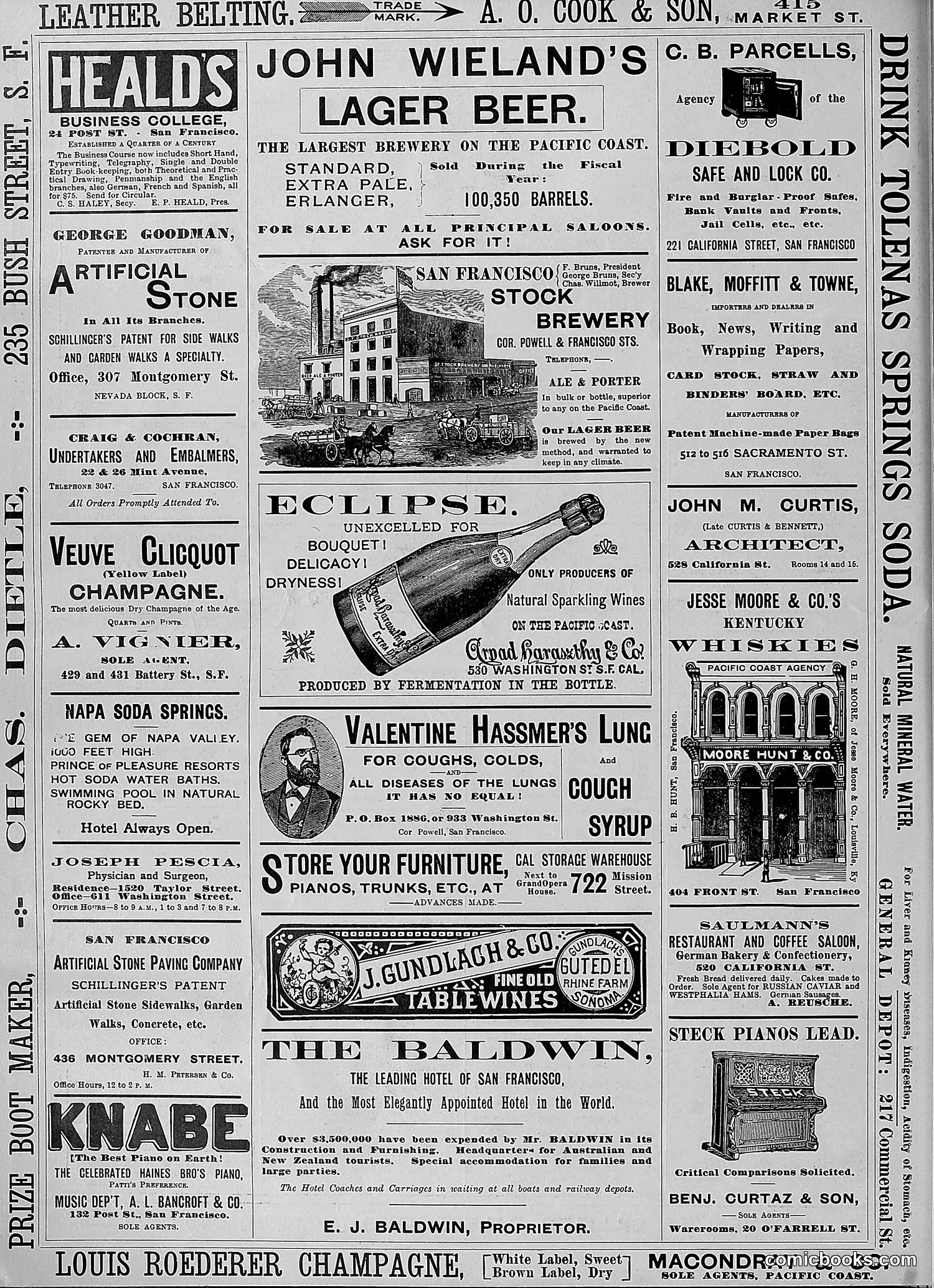 The Wasp — 1888 — page 211 of 552