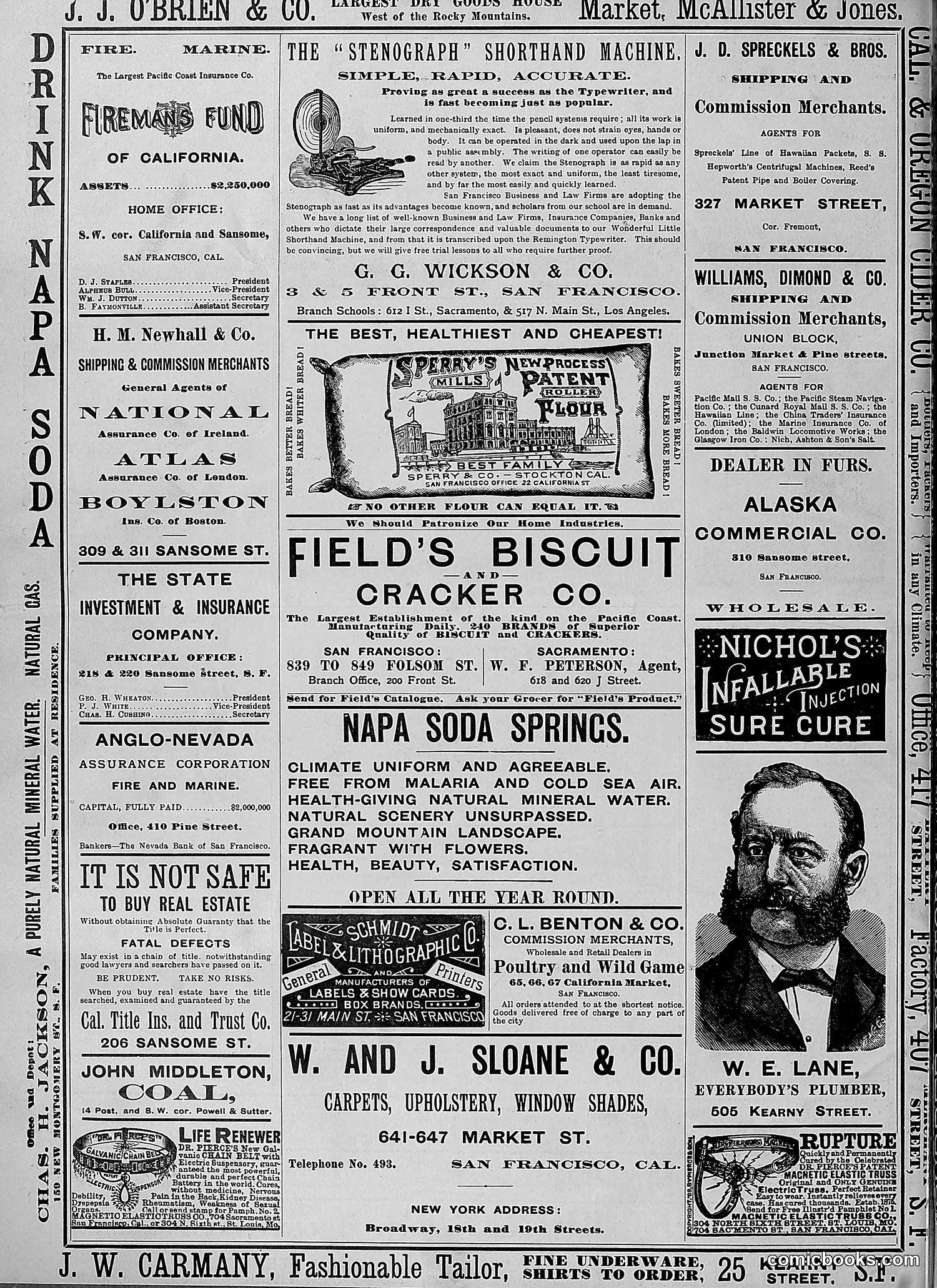 The Wasp — 1888 — page 229 of 552