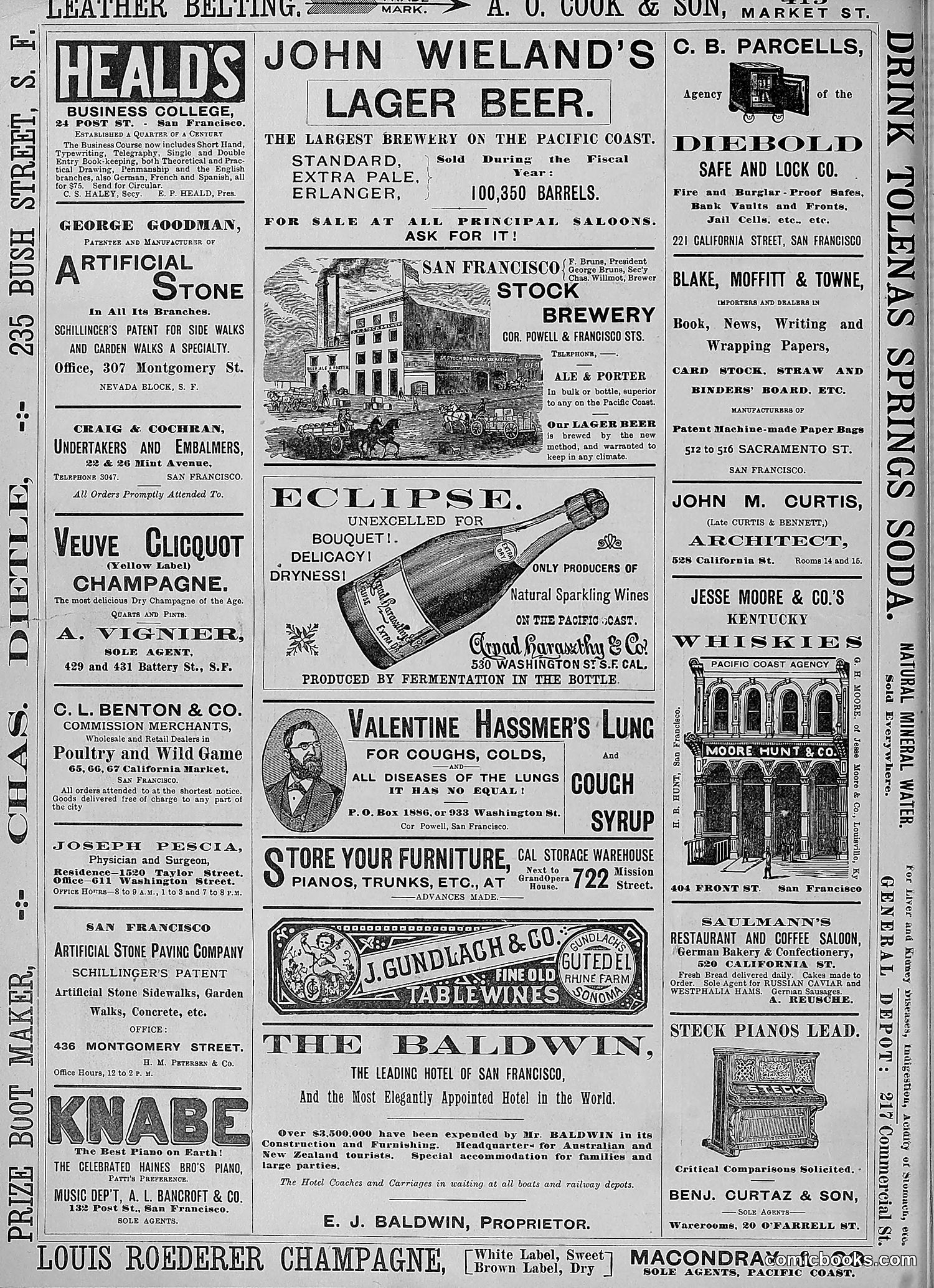 The Wasp — 1888 — page 231 of 552