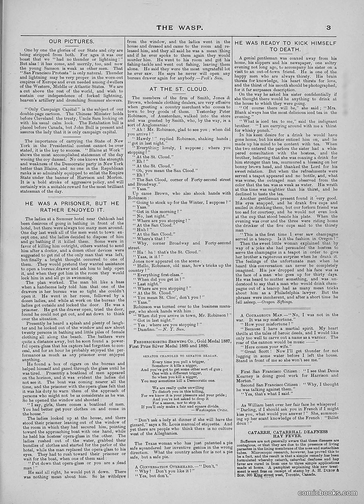 The Wasp — 1888 — page 234 of 552