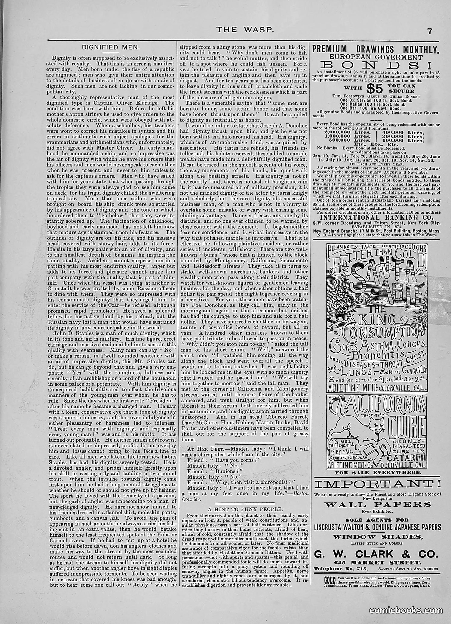 The Wasp — 1888 — page 238 of 552