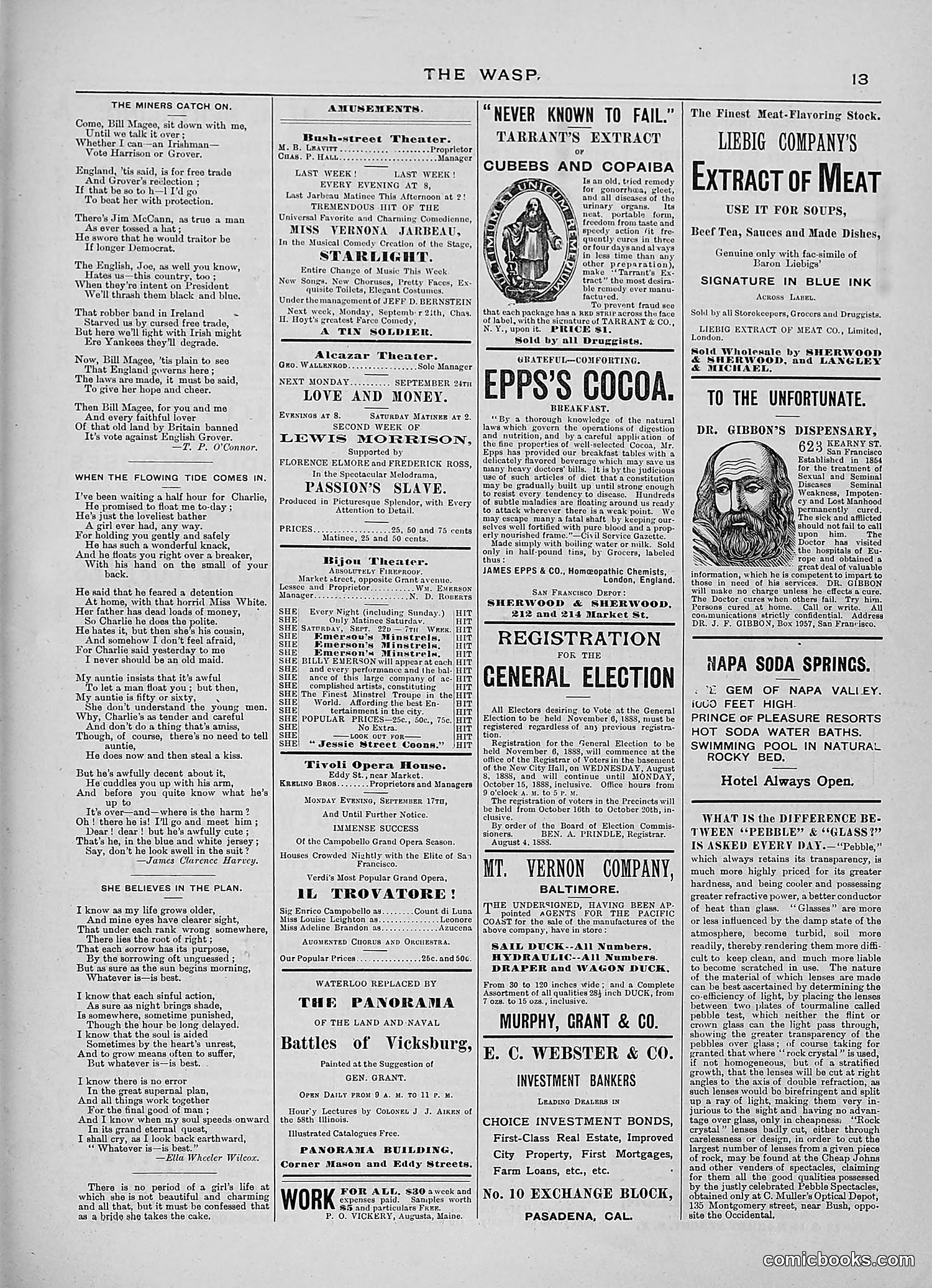 The Wasp — 1888 — page 244 of 552