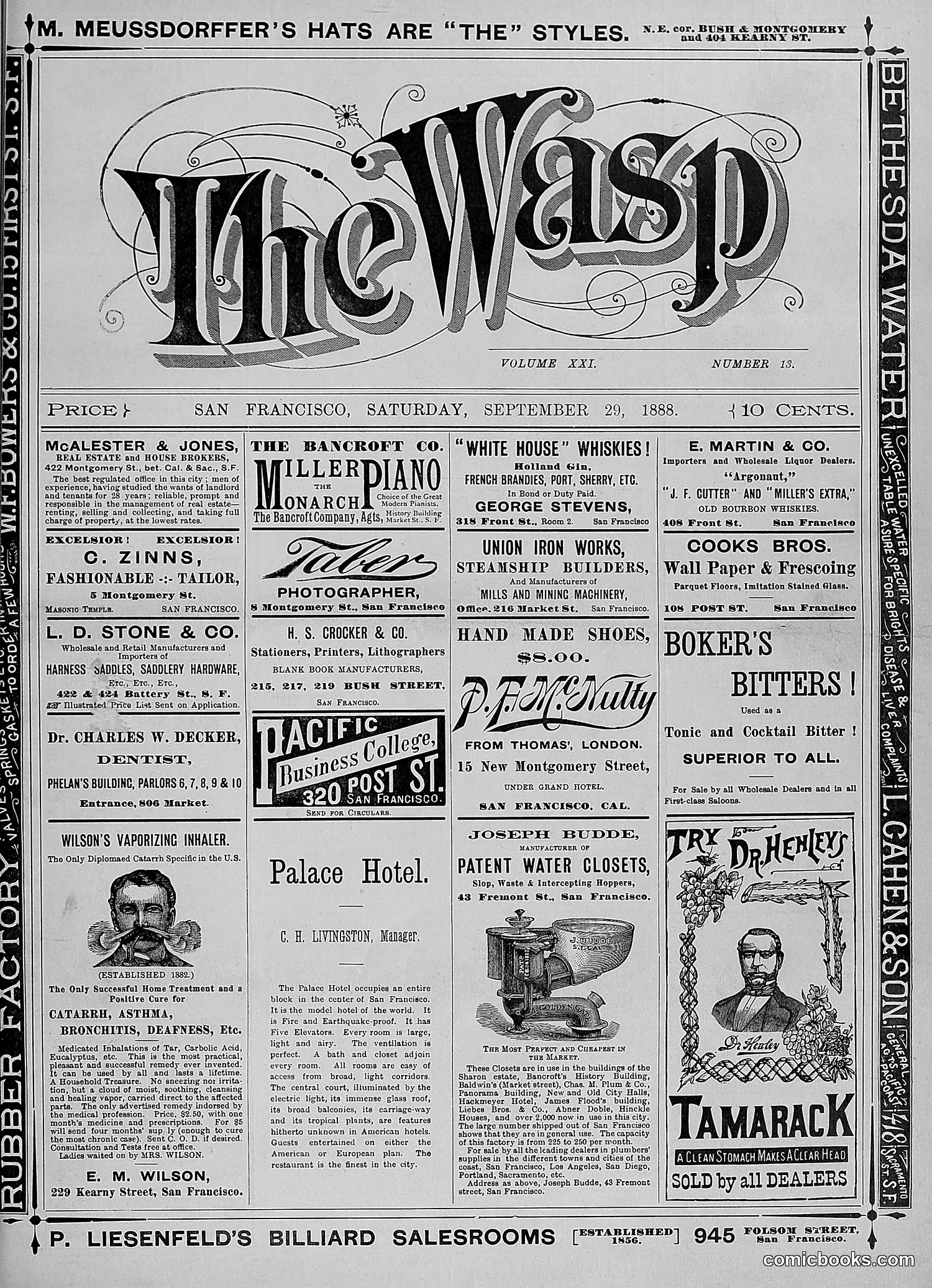 The Wasp — 1888 — page 250 of 552