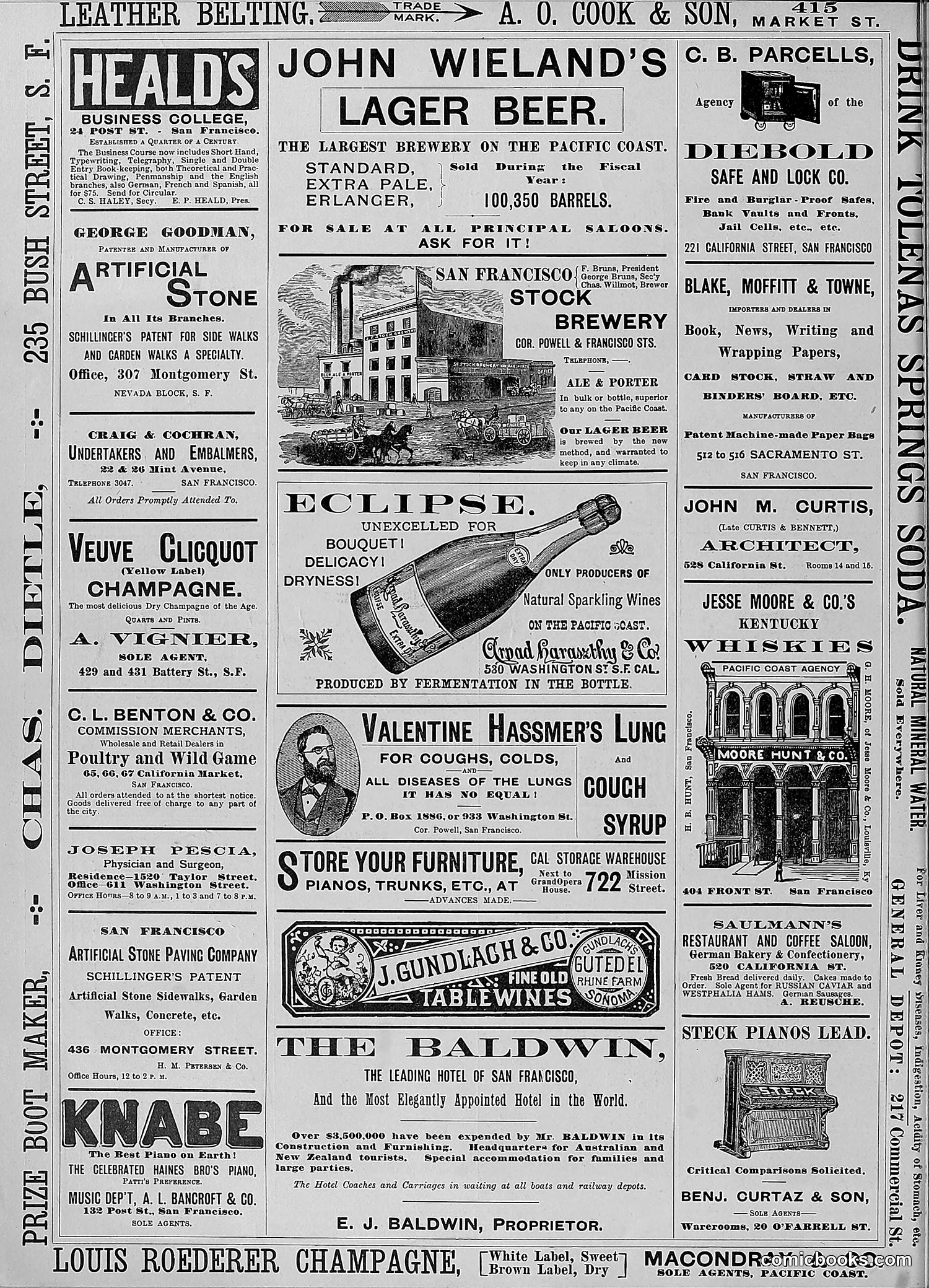 The Wasp — 1888 — page 251 of 552
