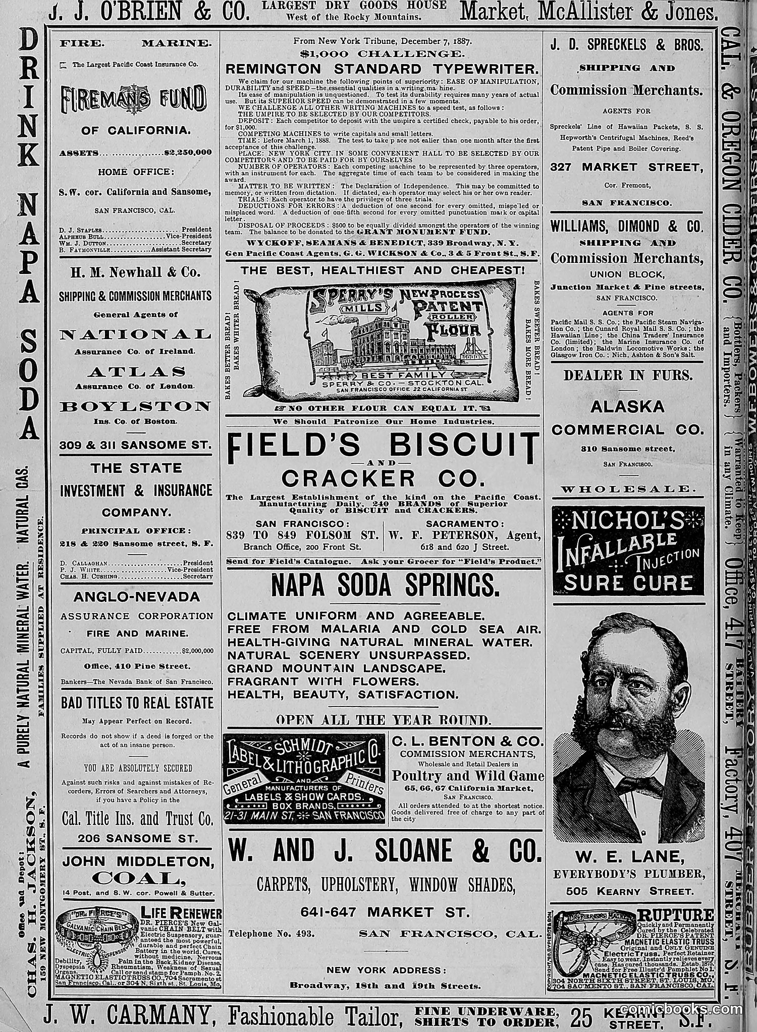 The Wasp — 1888 — page 27 of 552