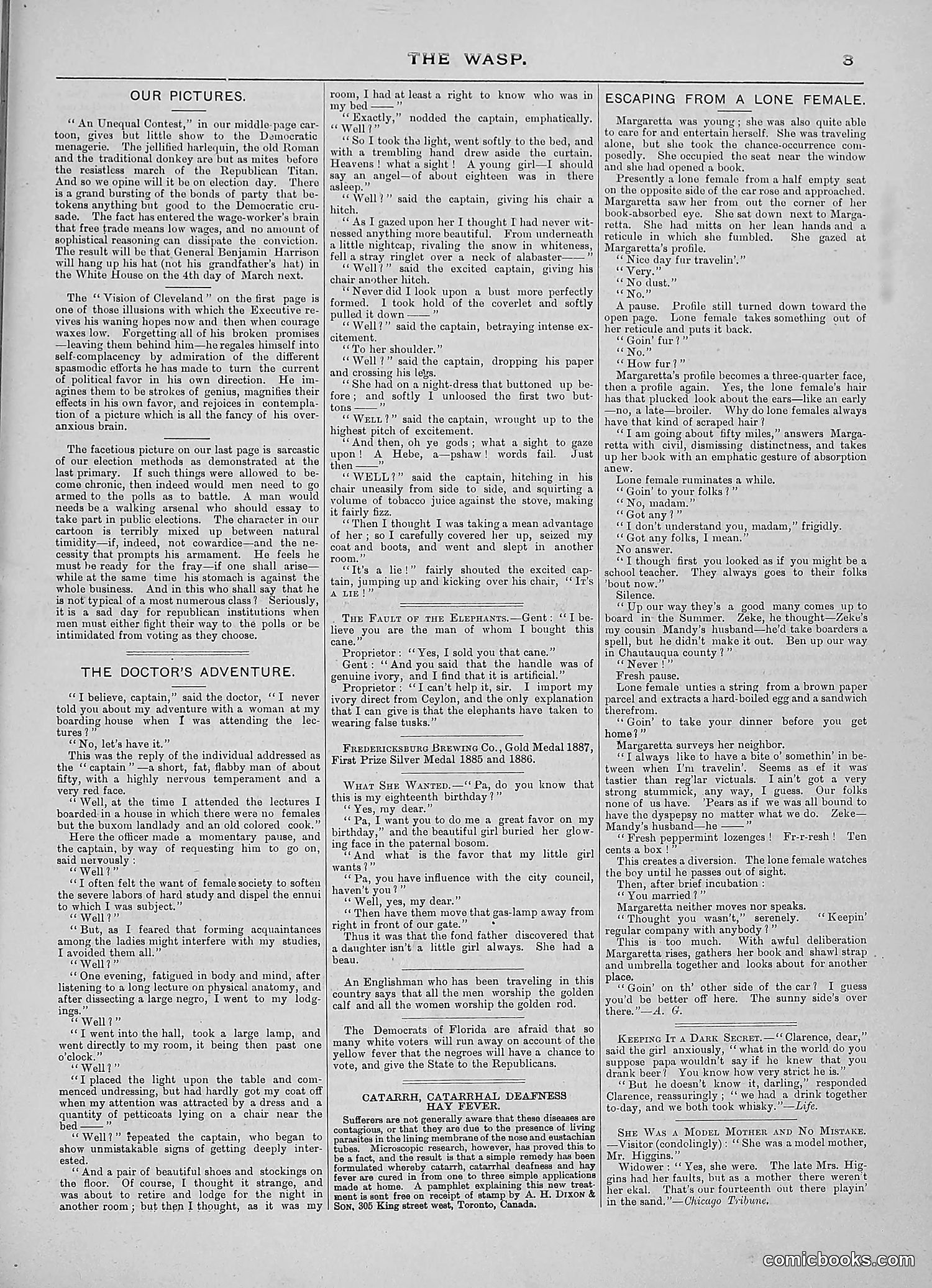 The Wasp — 1888 — page 272 of 552