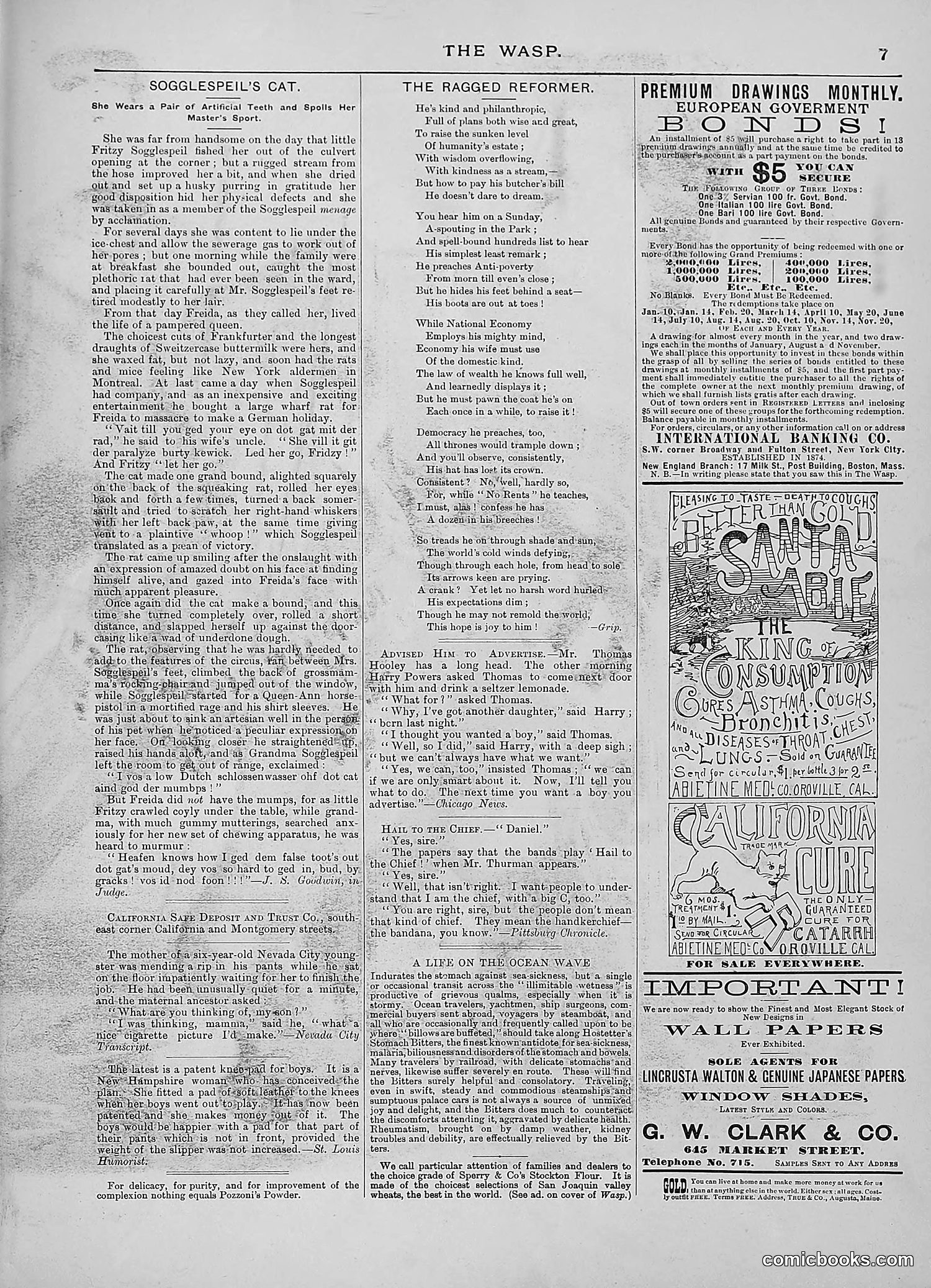 The Wasp — 1888 — page 276 of 552