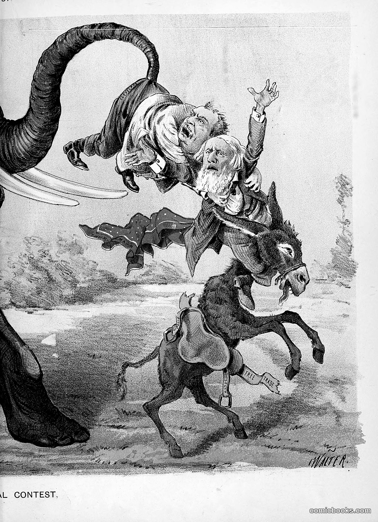 The Wasp — 1888 — page 278 of 552