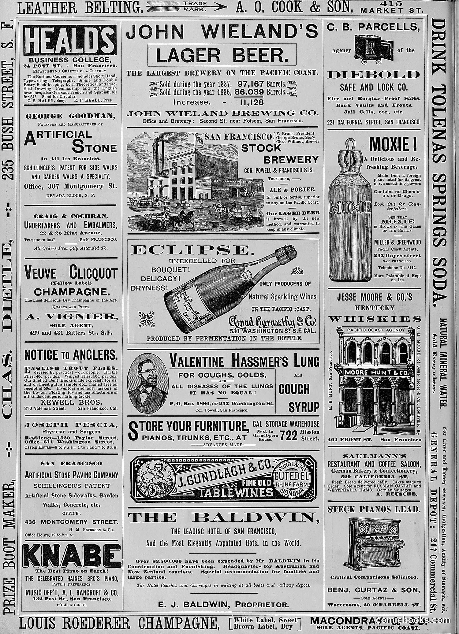 The Wasp — 1888 — page 29 of 552