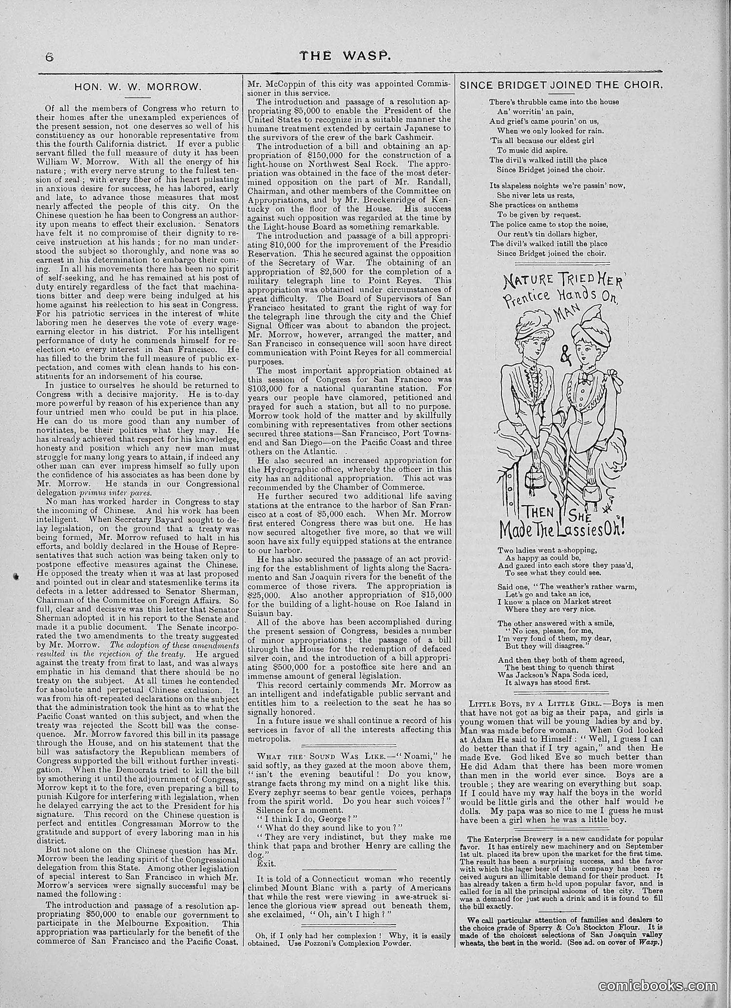 The Wasp — 1888 — page 295 of 552