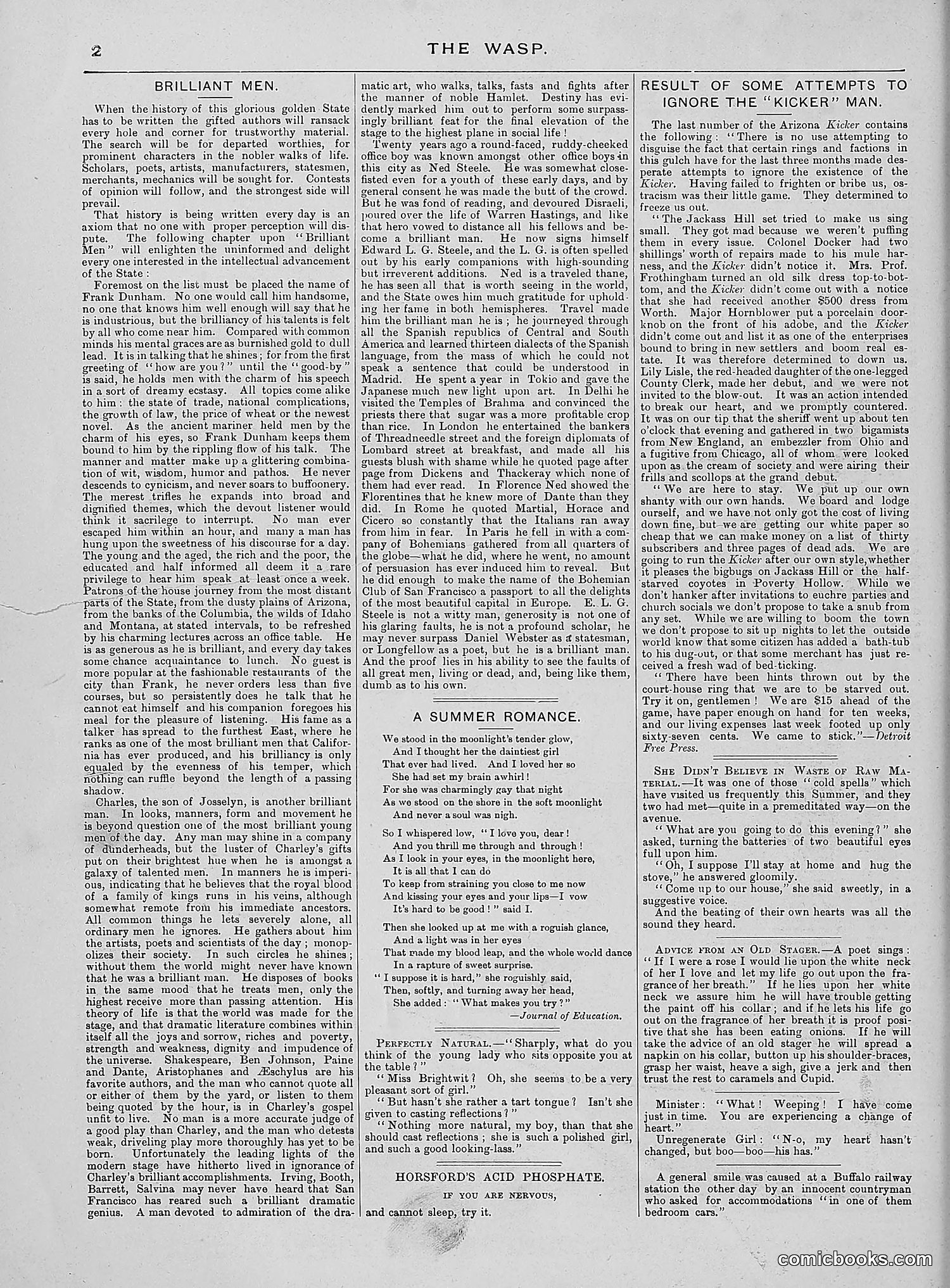 The Wasp — 1888 — page 31 of 552