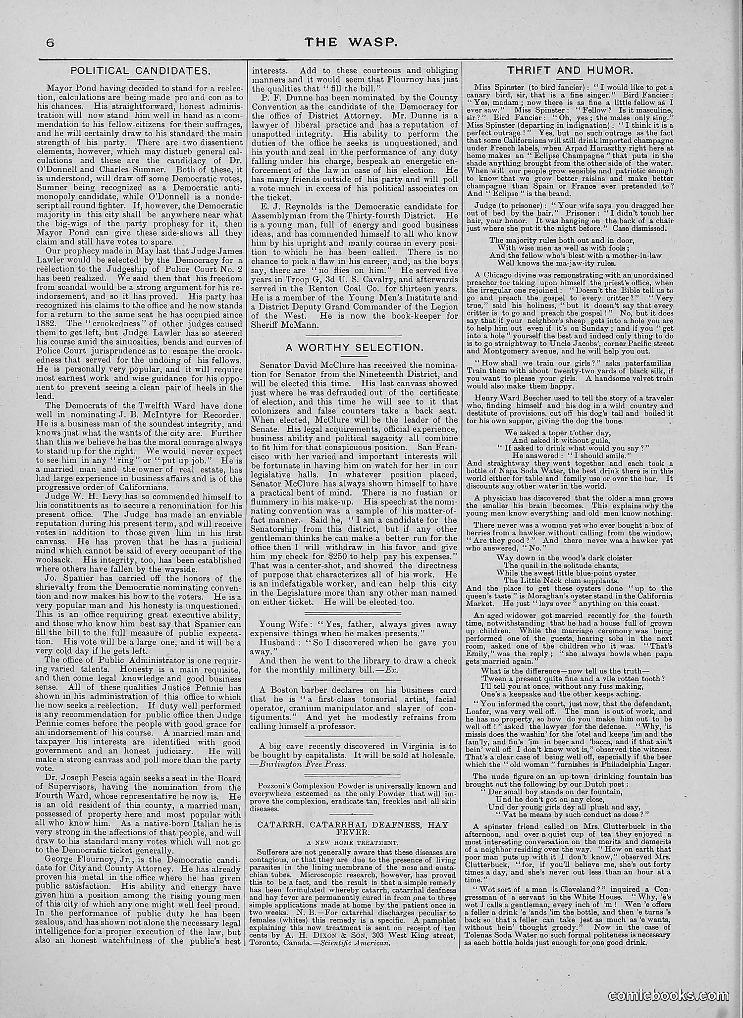 The Wasp — 1888 — page 315 of 552