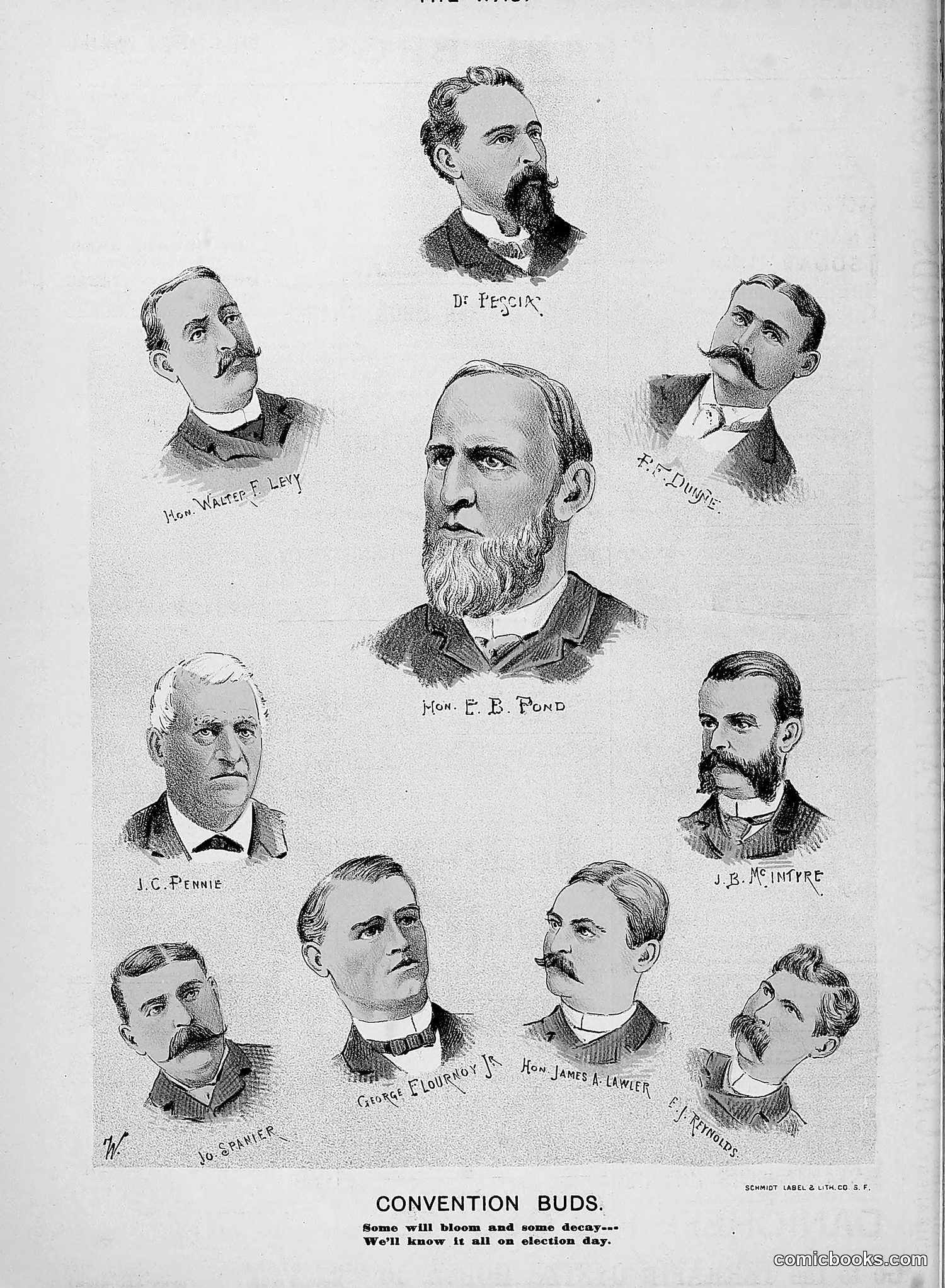 The Wasp — 1888 — page 325 of 552