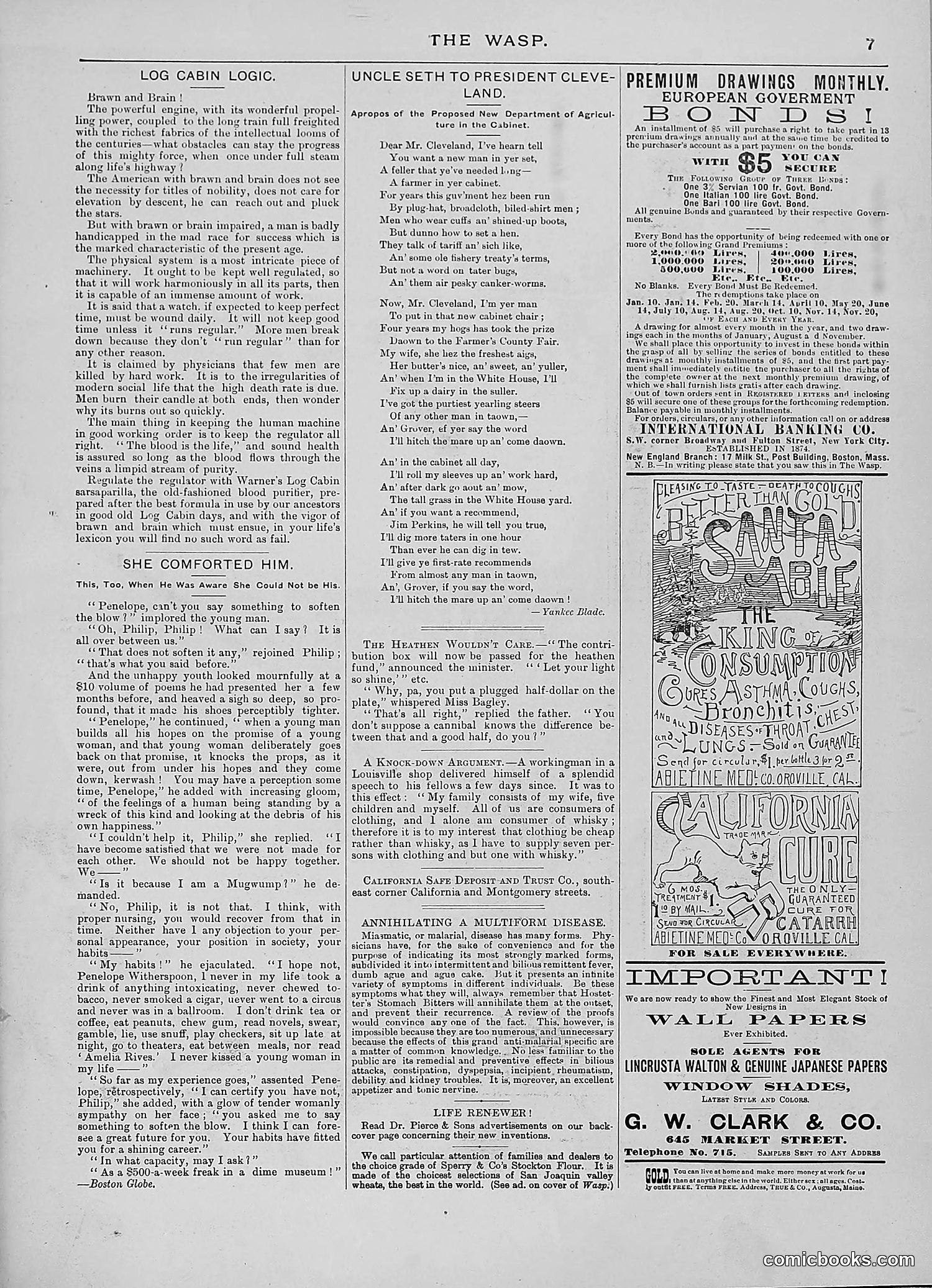 The Wasp — 1888 — page 336 of 552
