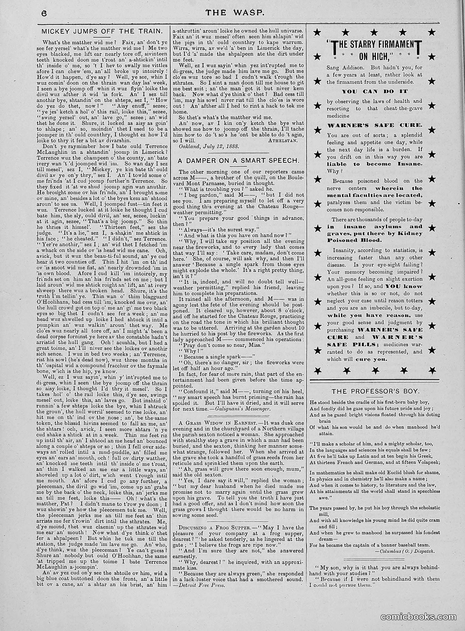 The Wasp — 1888 — page 35 of 552