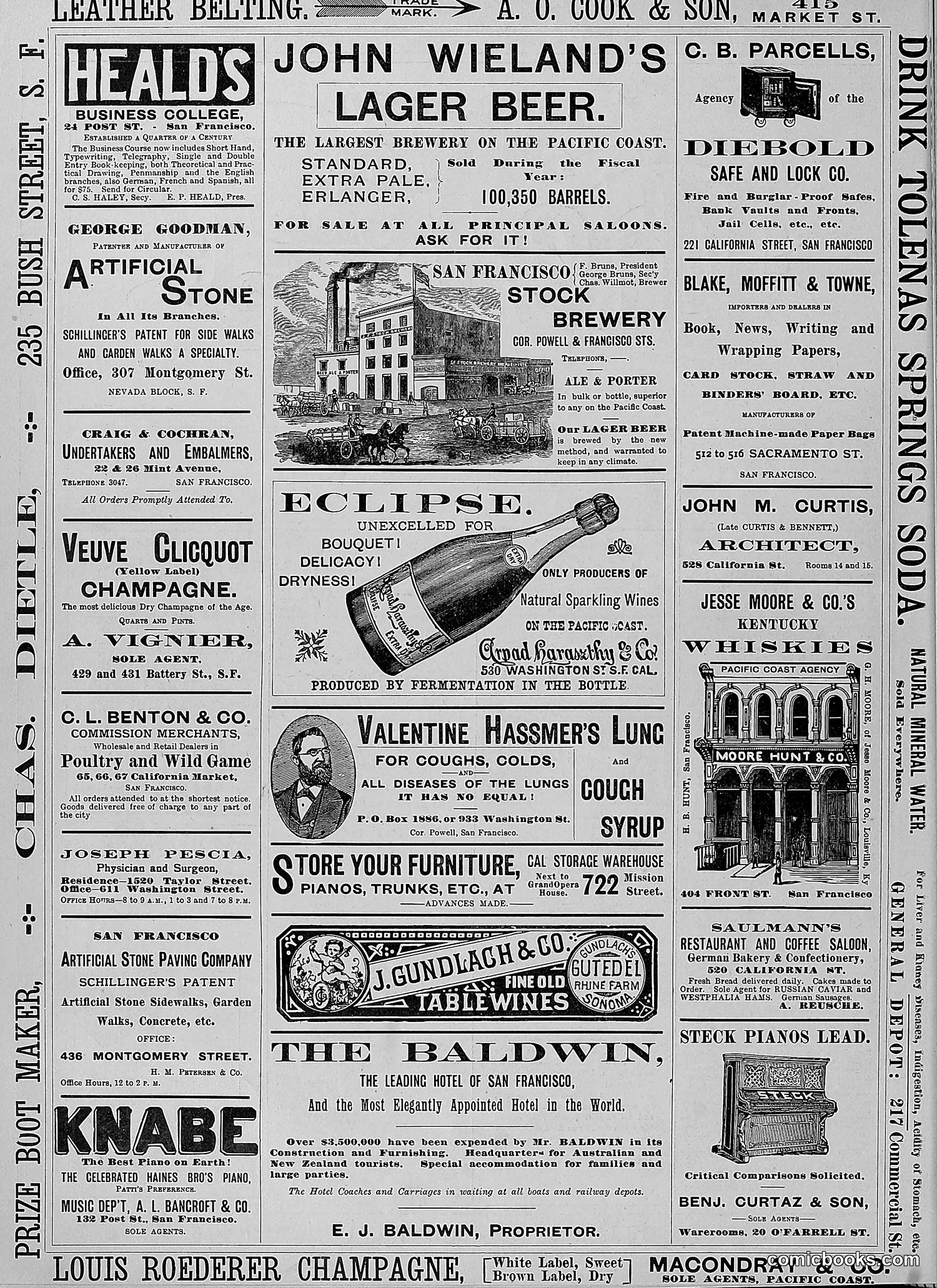 The Wasp — 1888 — page 349 of 552