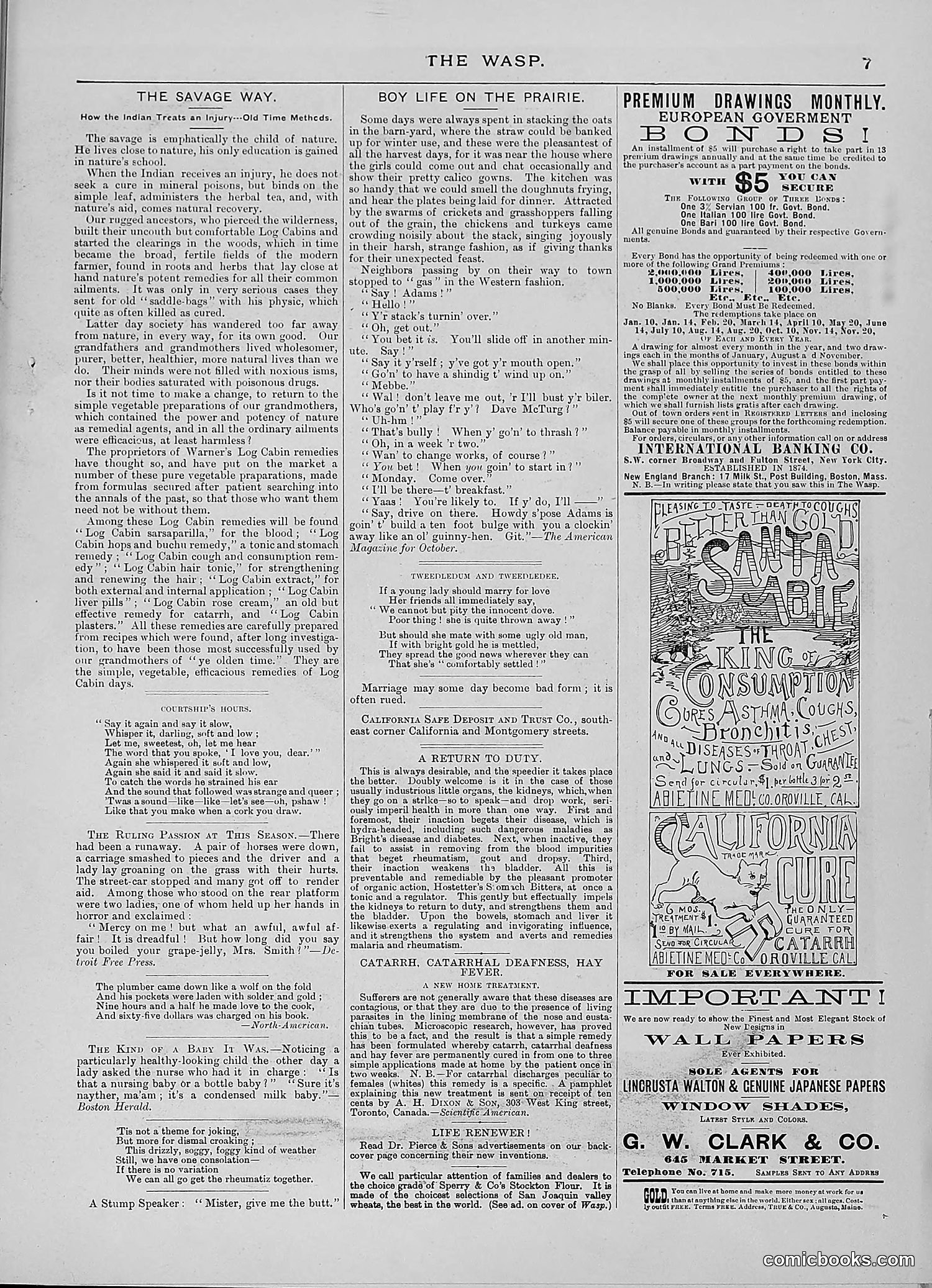 The Wasp — 1888 — page 356 of 552