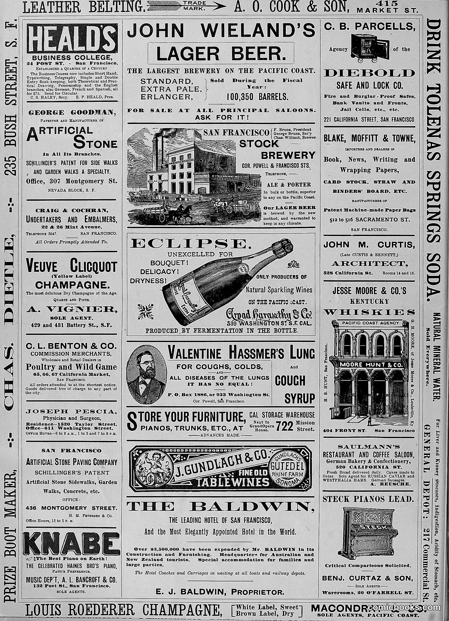 The Wasp — 1888 — page 409 of 552