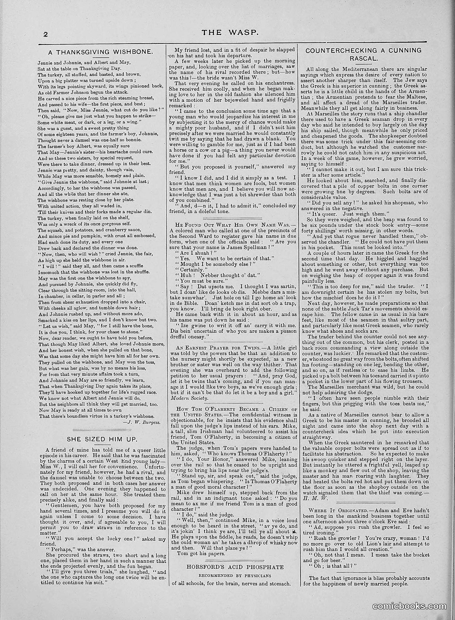 The Wasp — 1888 — page 411 of 552